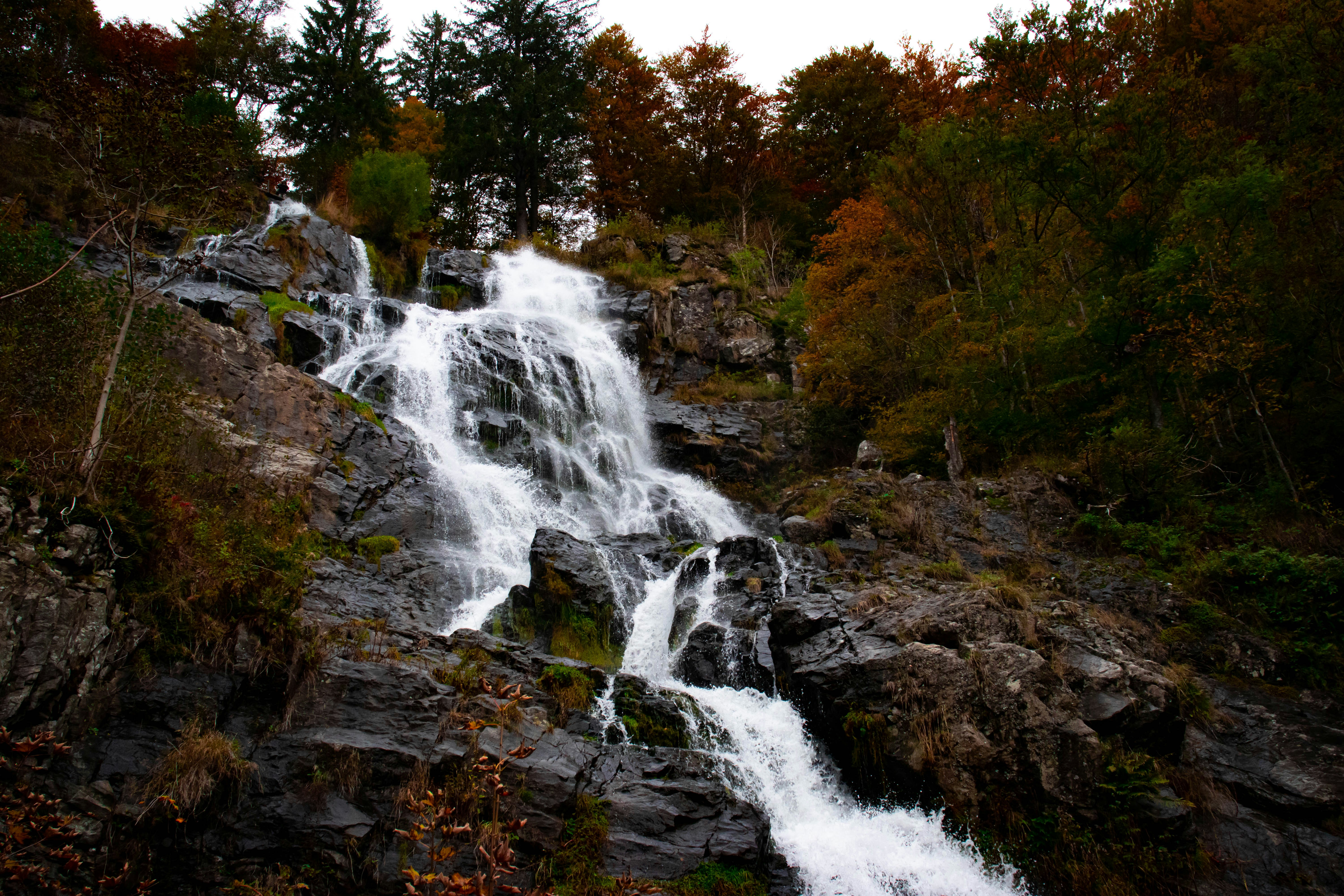 Photo by rohanification