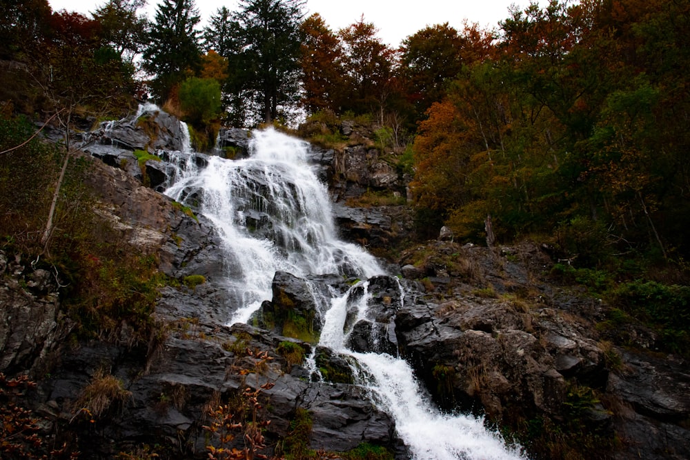 Wasserfälle im Wald