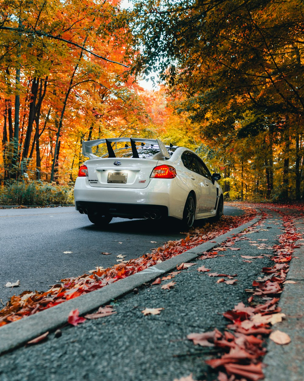white car on road with brown leaves on ground