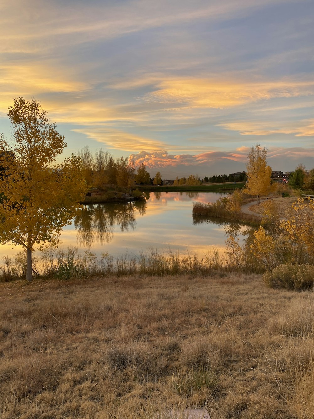 brown trees beside lake during sunset