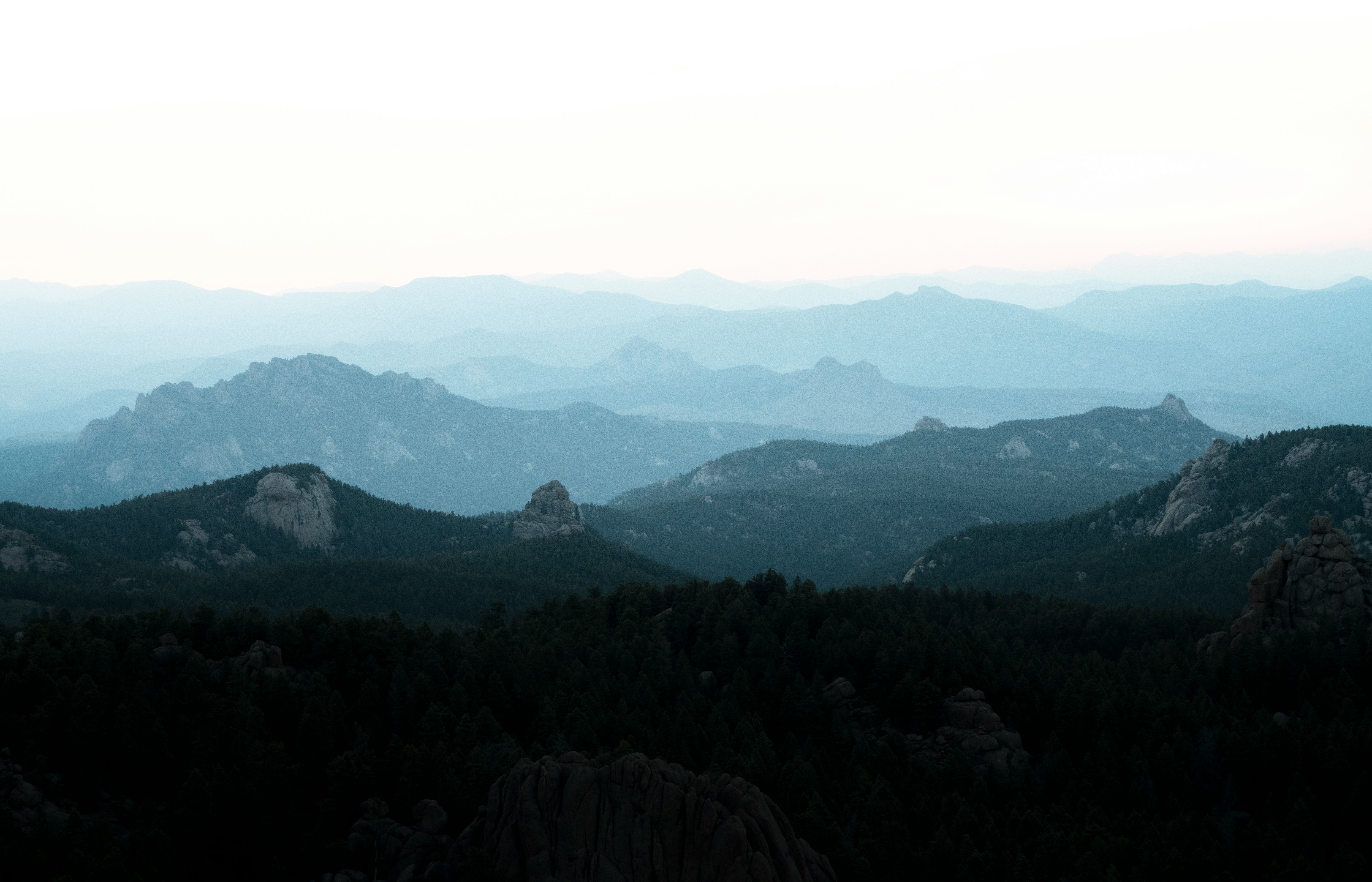 green trees on mountain during daytime