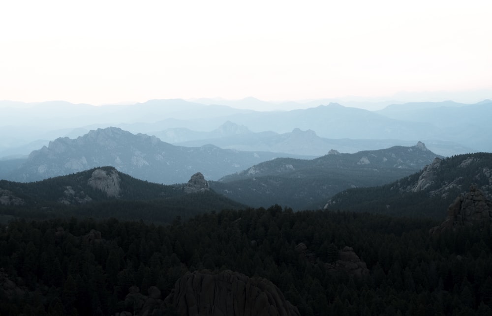 green trees on mountain during daytime