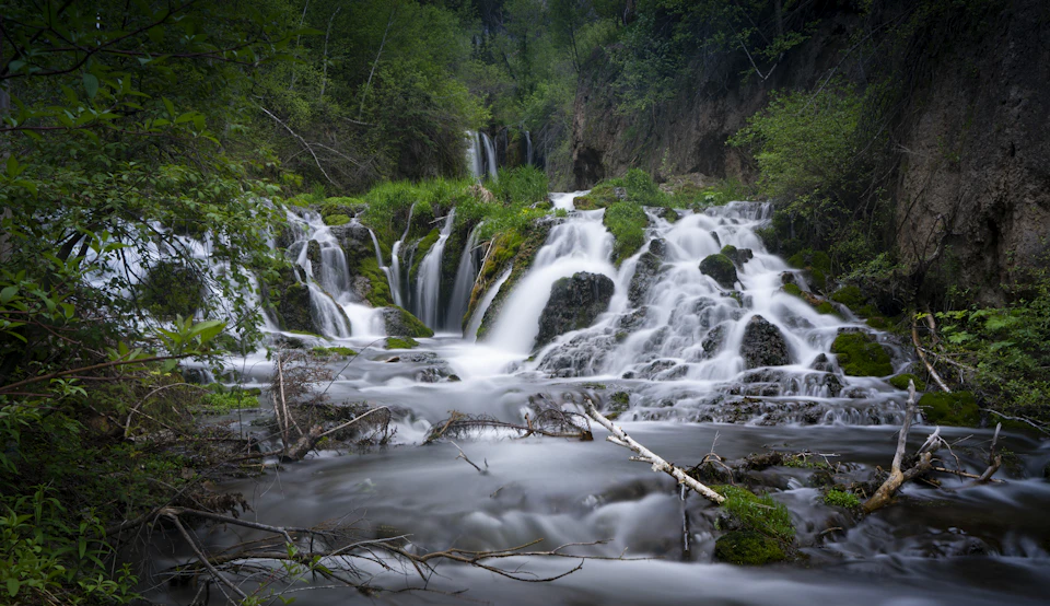 Serene waterfall cascades down into a river surrounded by lush greenery and towering trees