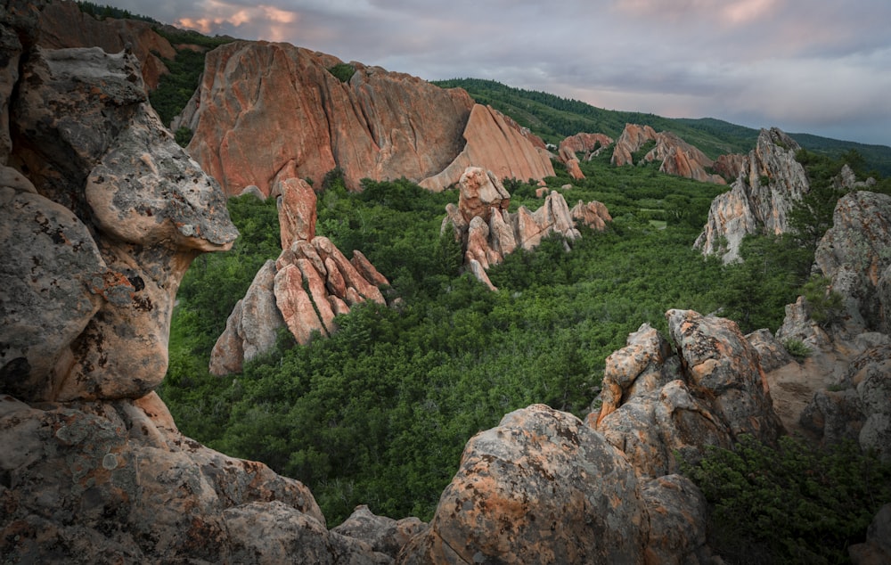 Formación de rocas marrones en un campo de hierba verde durante el día