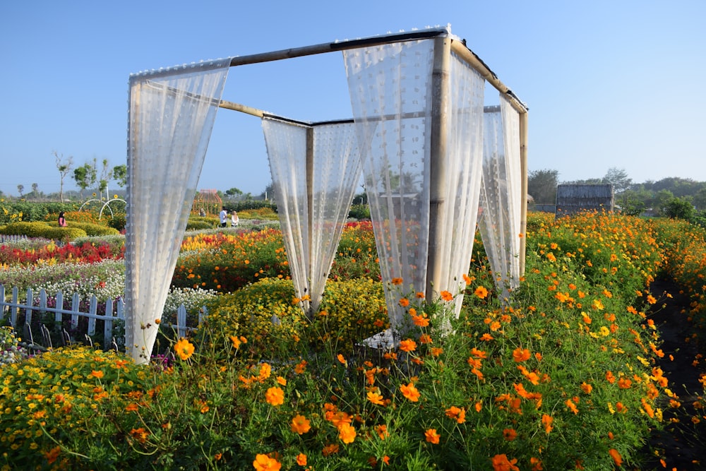 yellow flowers in front of white mesh net