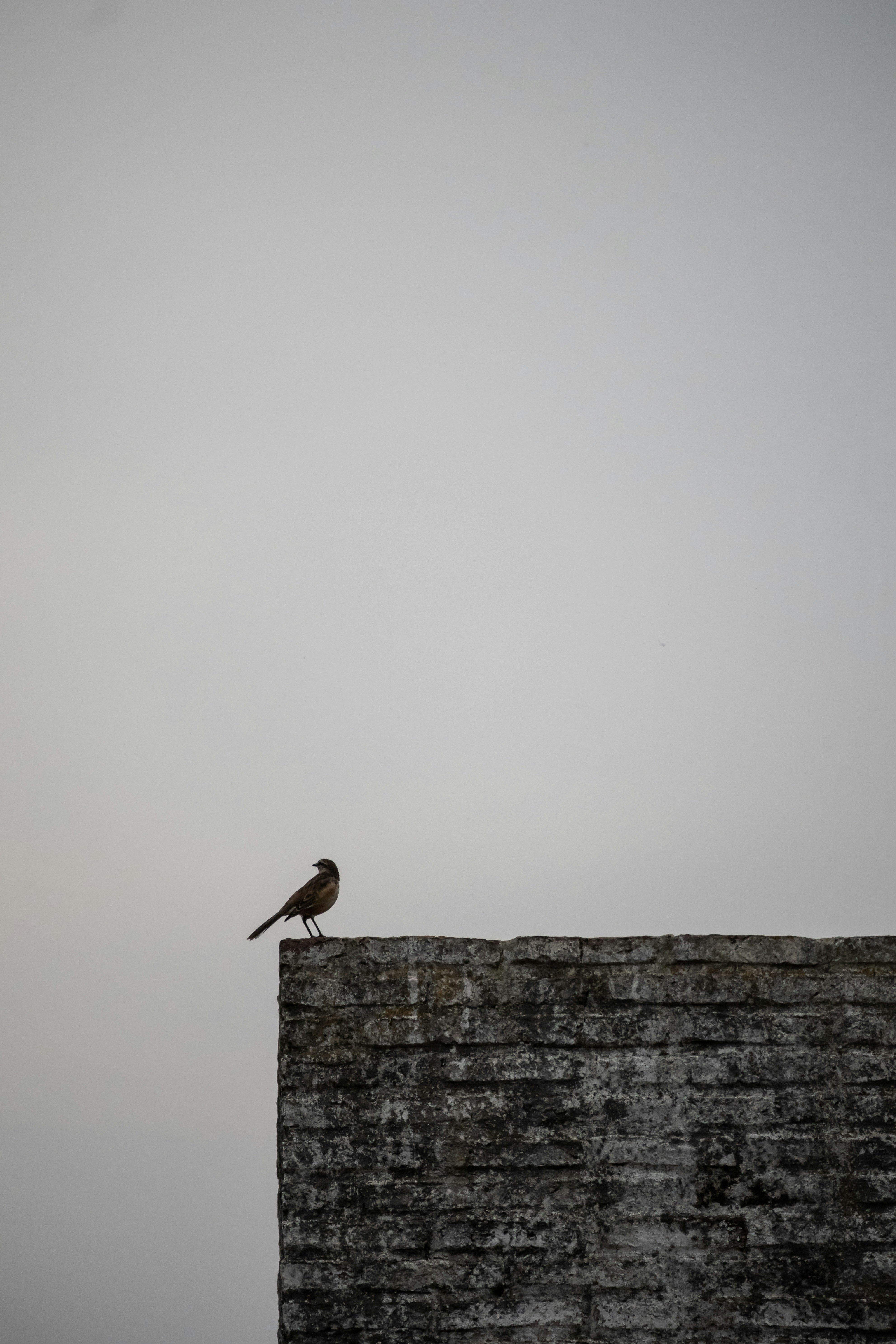 Photo by nature_of_the_experiment