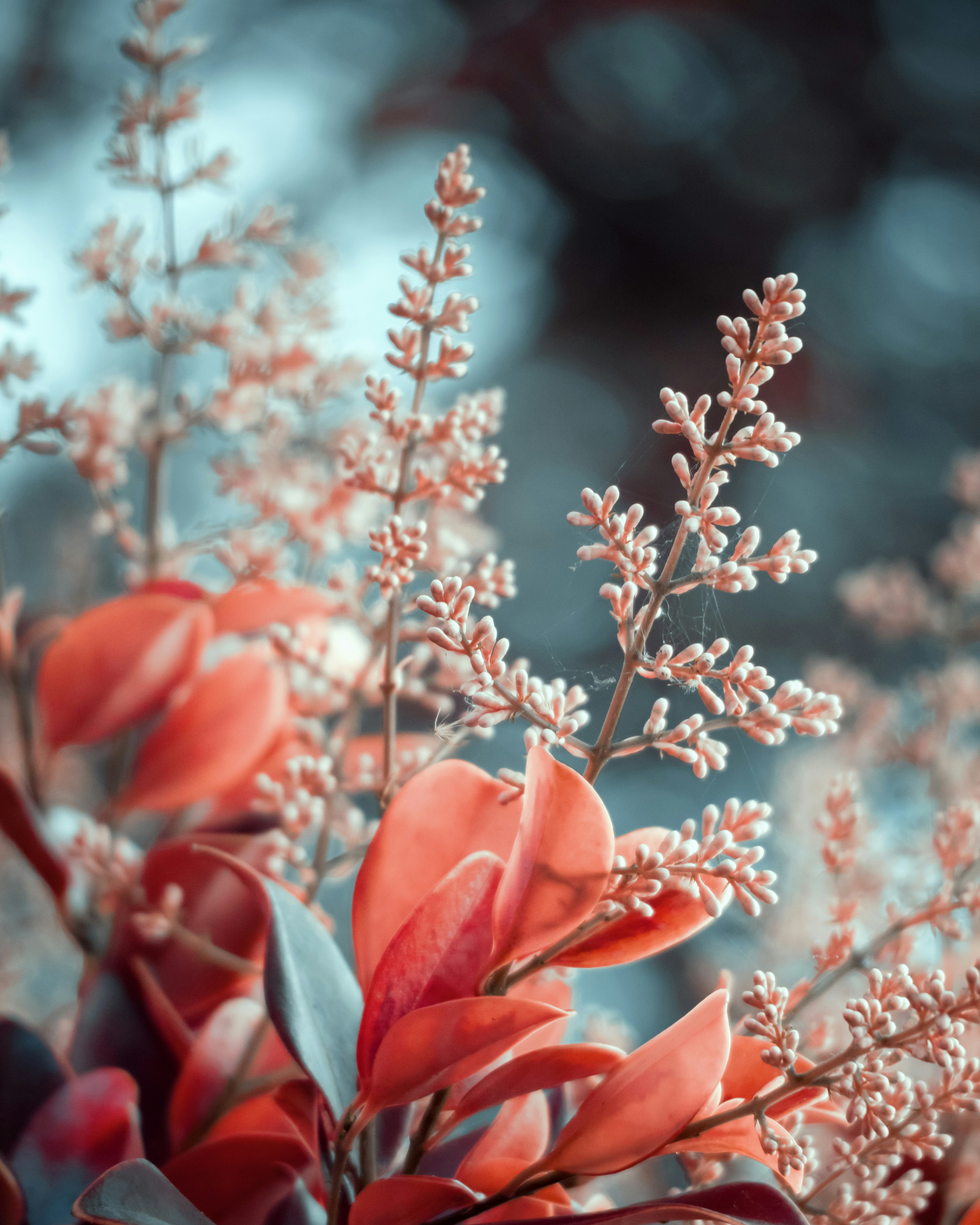 Photo by nature_of_the_experiment