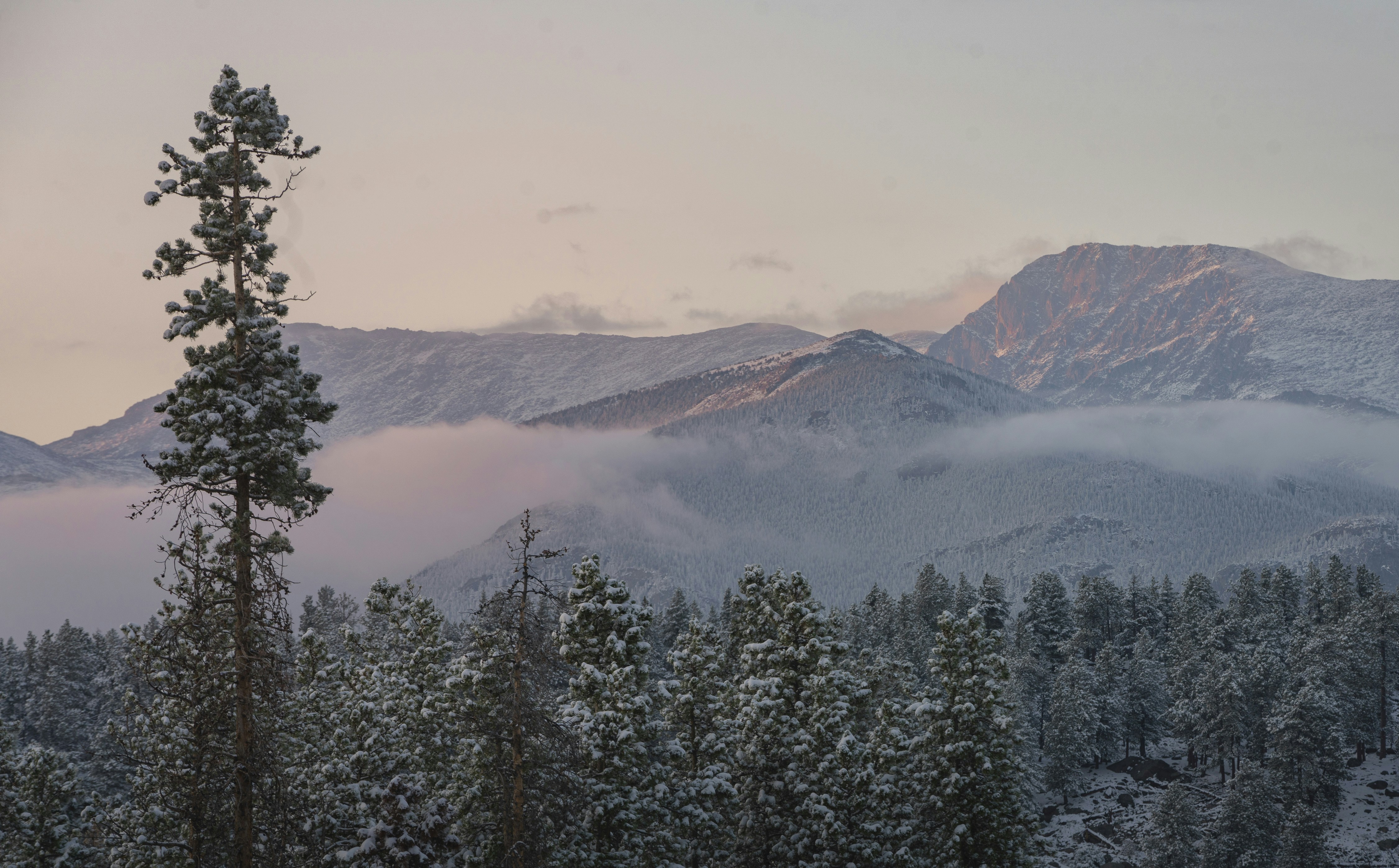 Photo by intricateexplorer