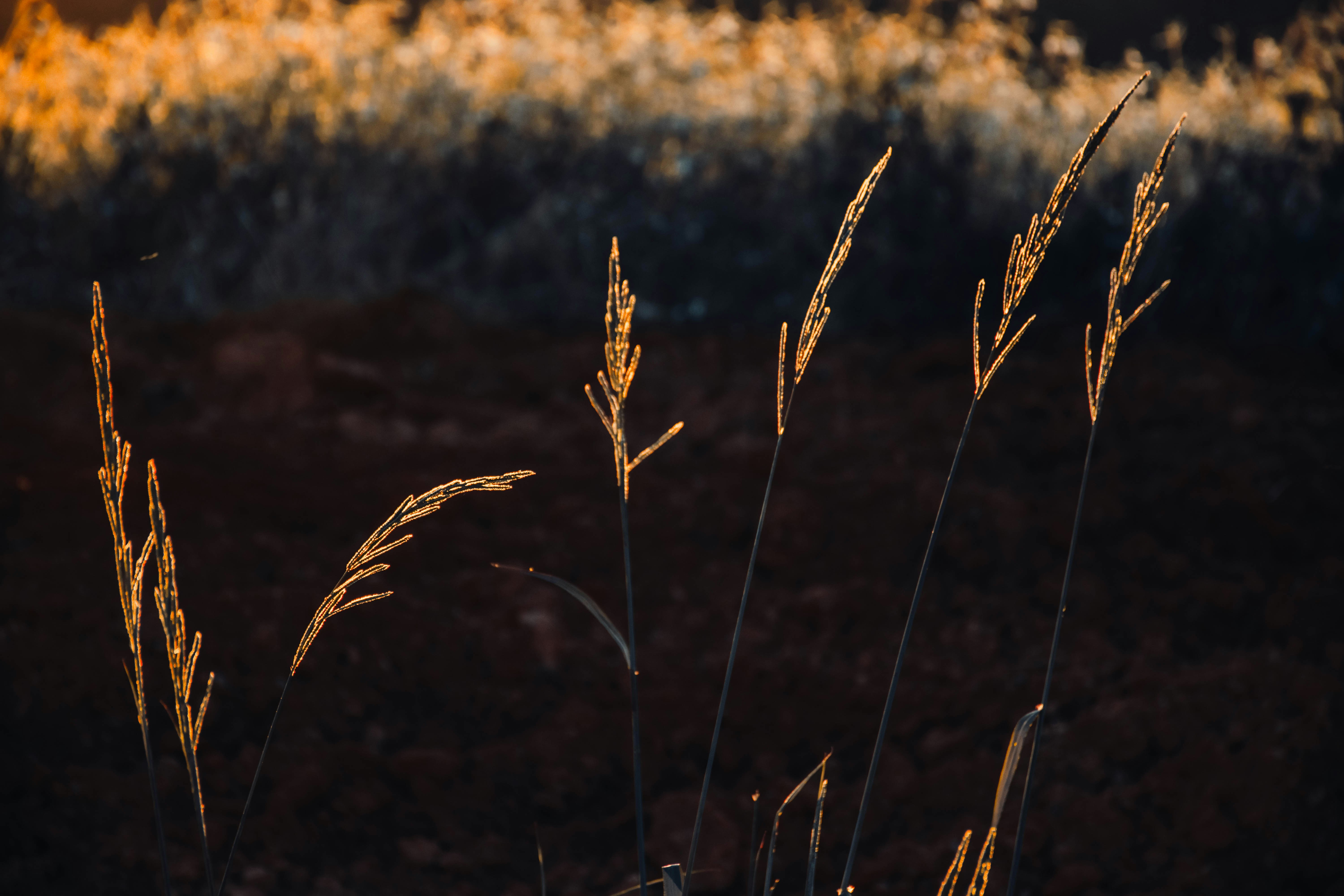 Photo by lucasgwendt
