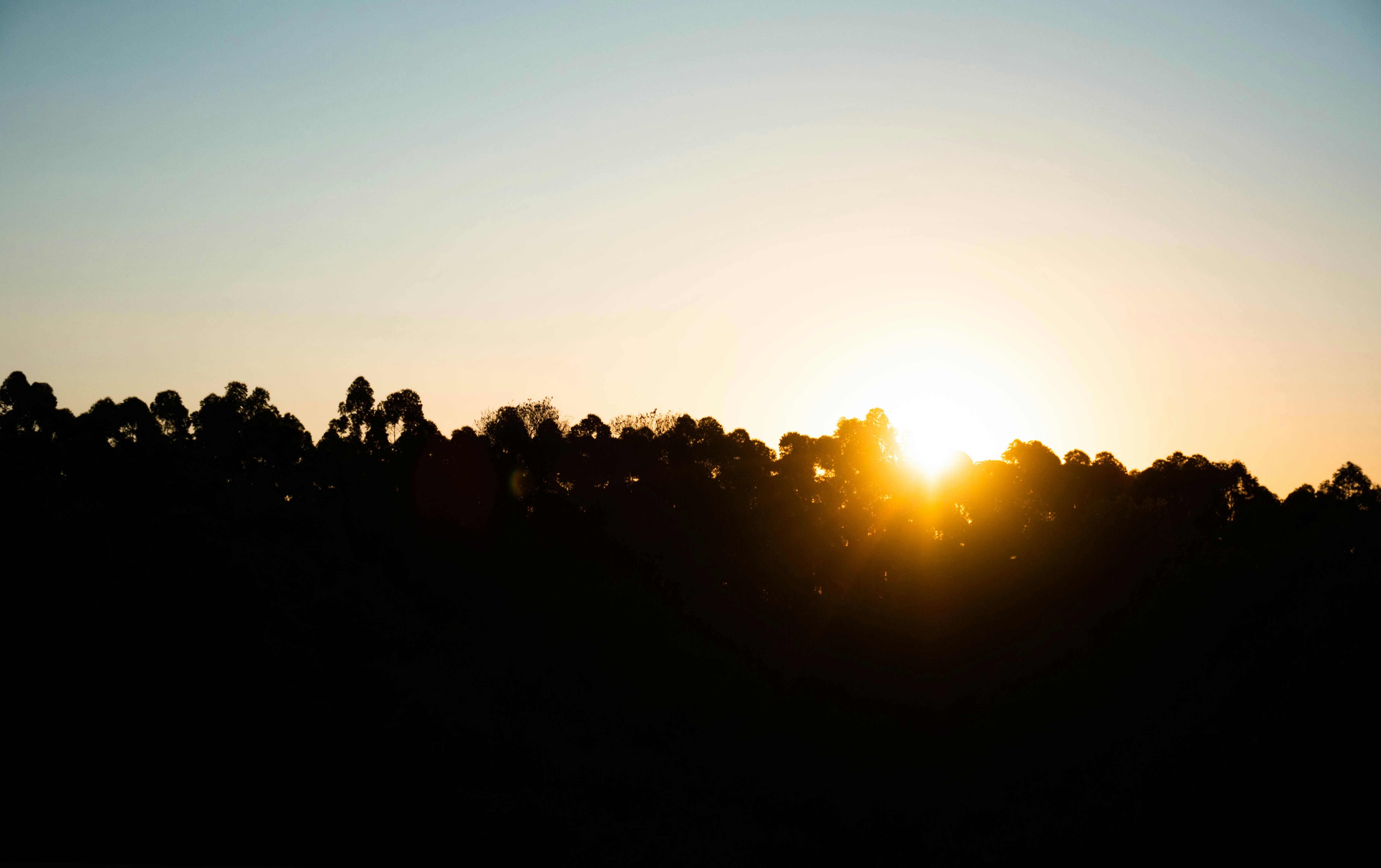 Photo by lucasgwendt