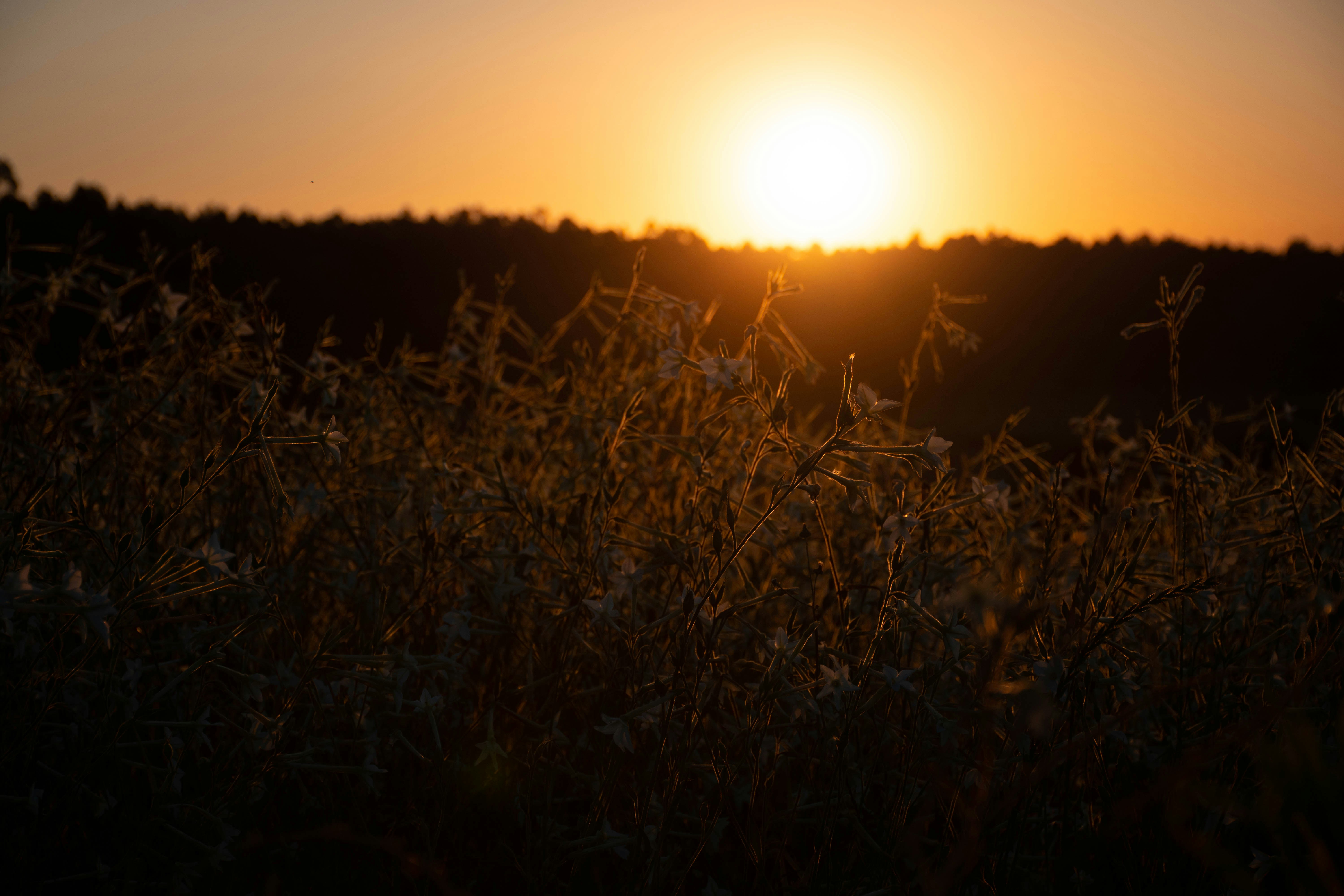 Photo by lucasgwendt