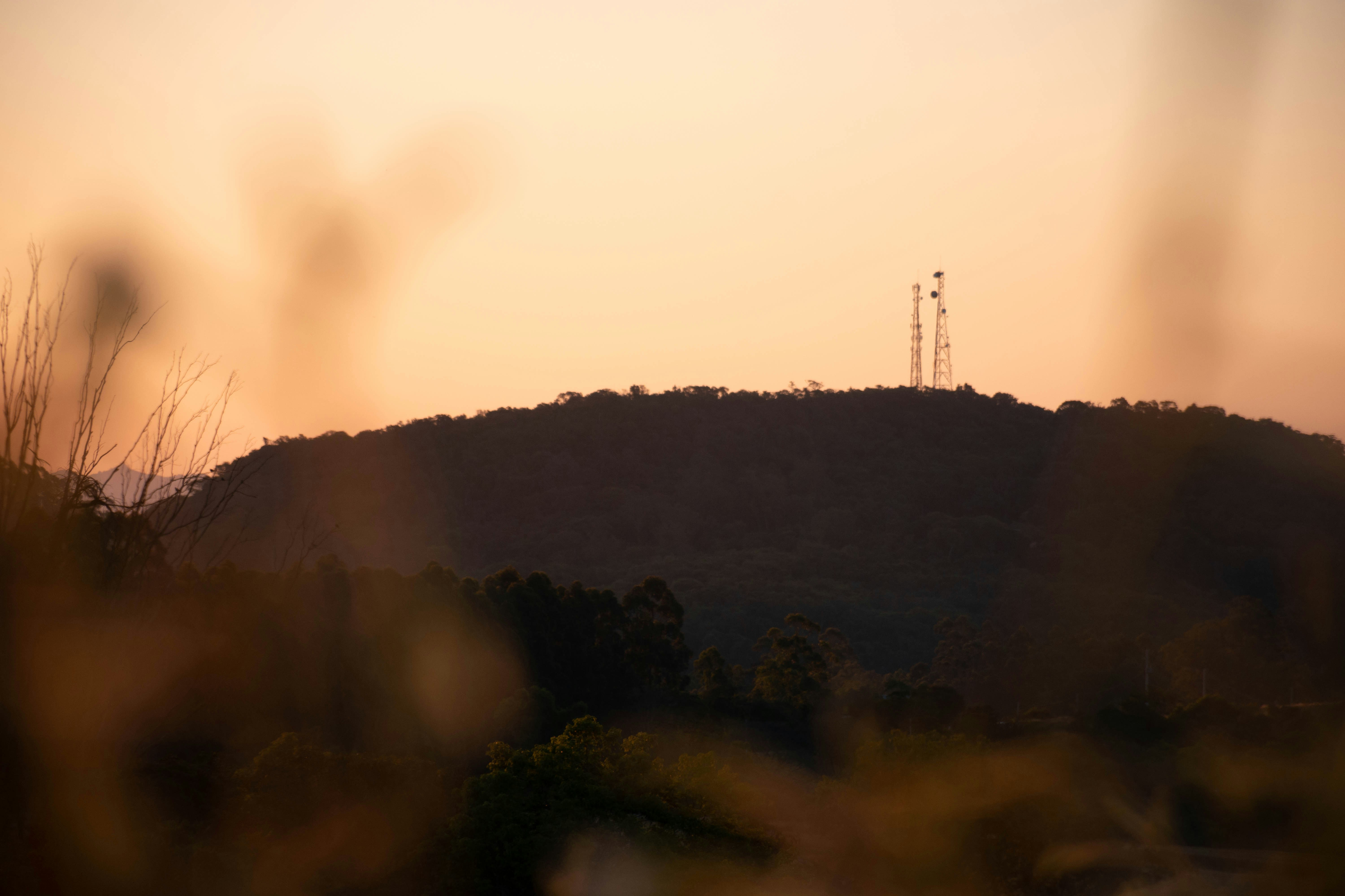 Photo by lucasgwendt