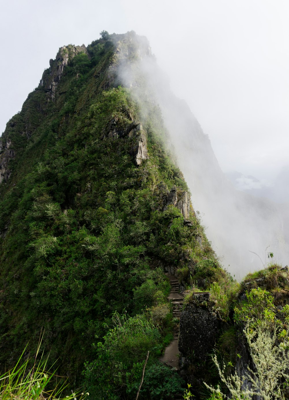 green grass covered mountain with fog