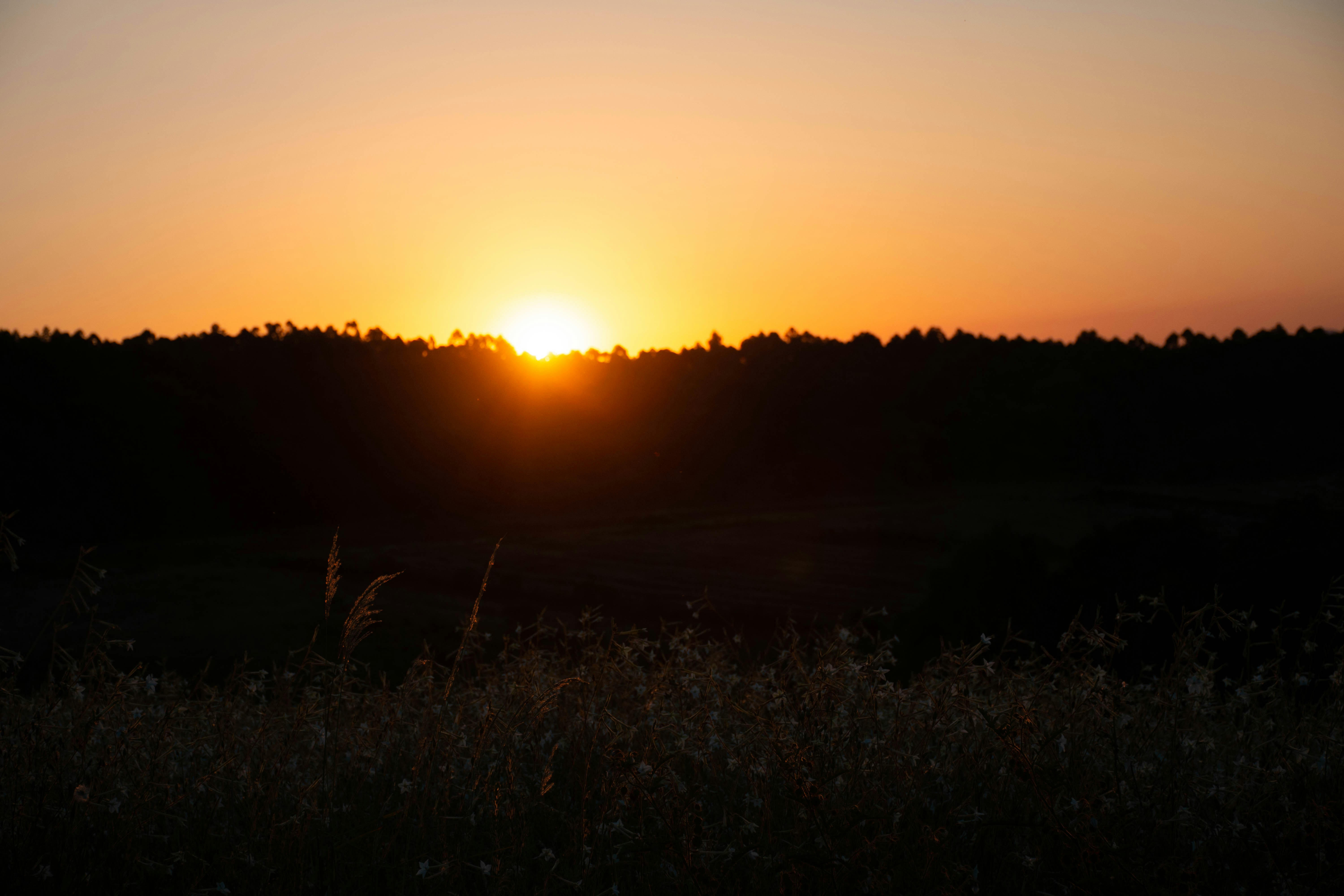 Photo by lucasgwendt