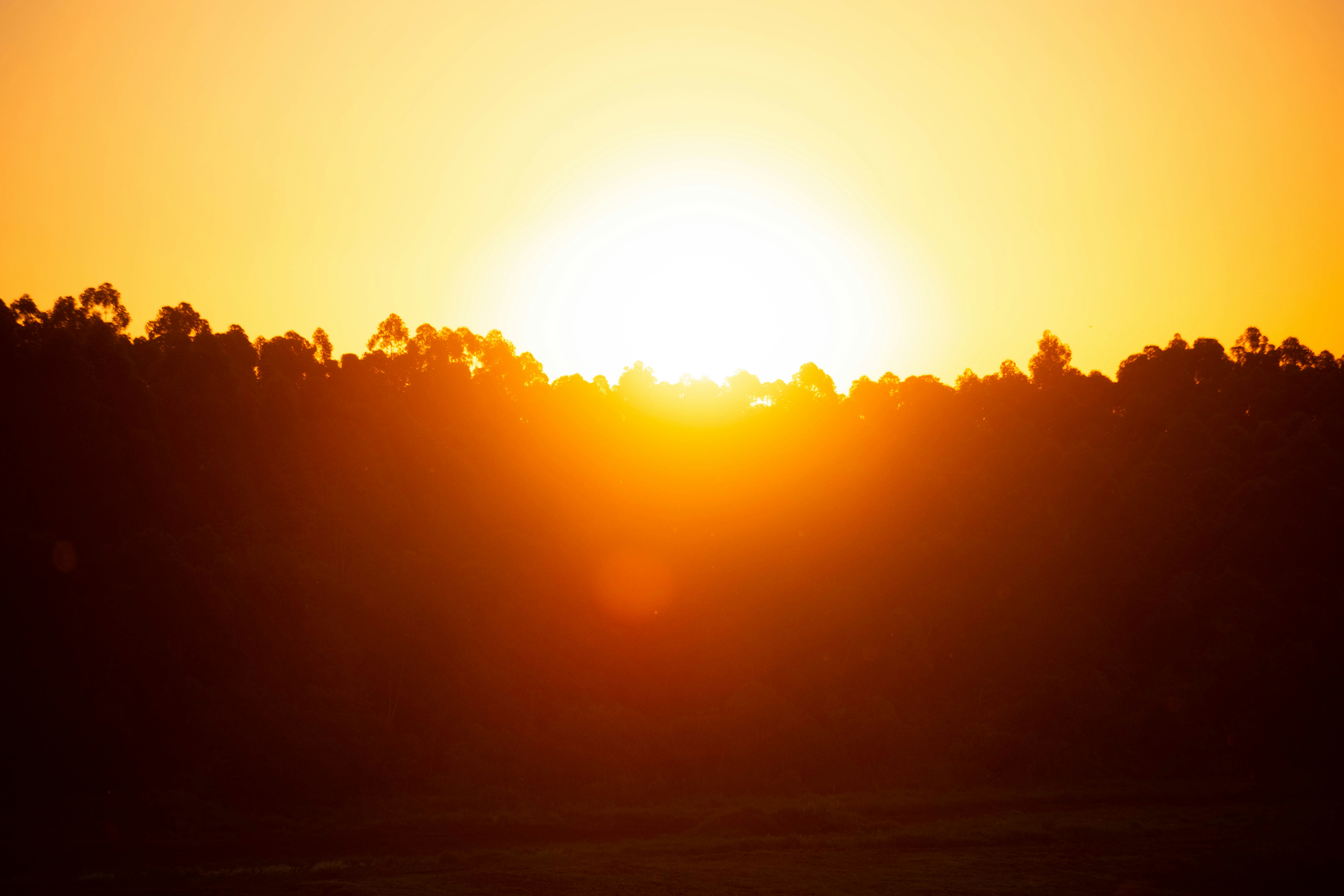 Photo by lucasgwendt