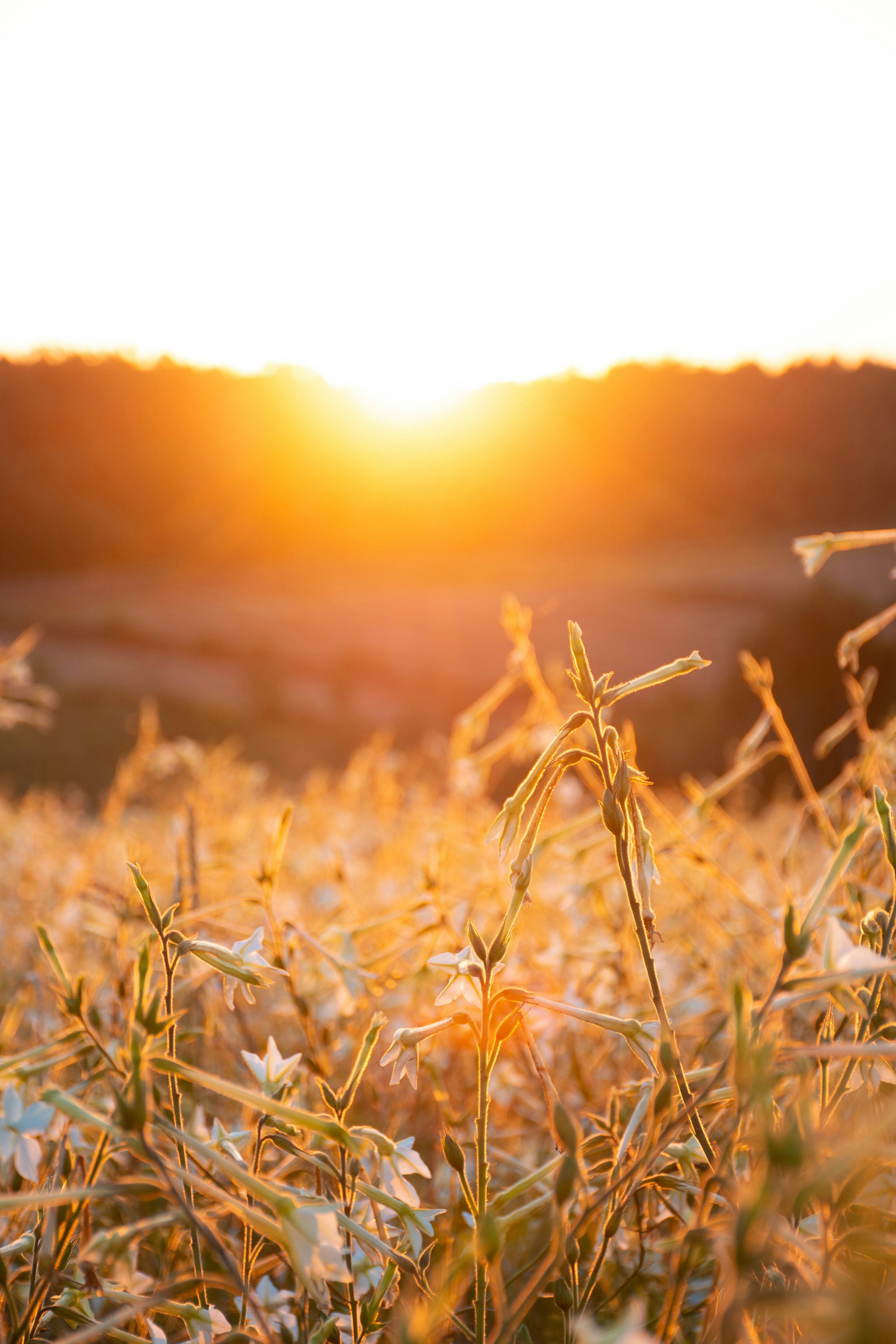 Photo by lucasgwendt