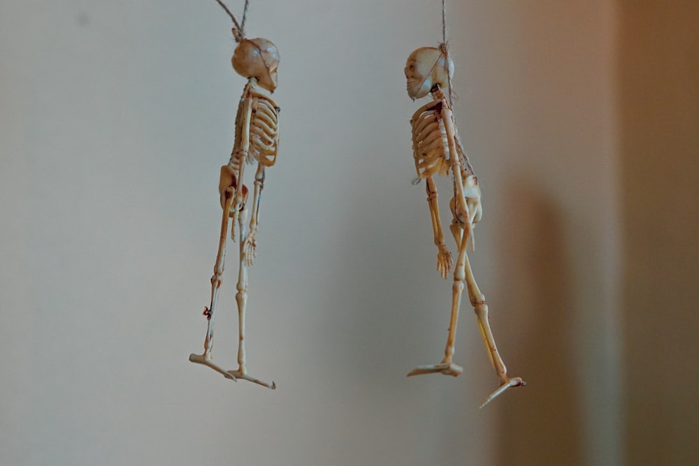 3 brown wooden human skeleton