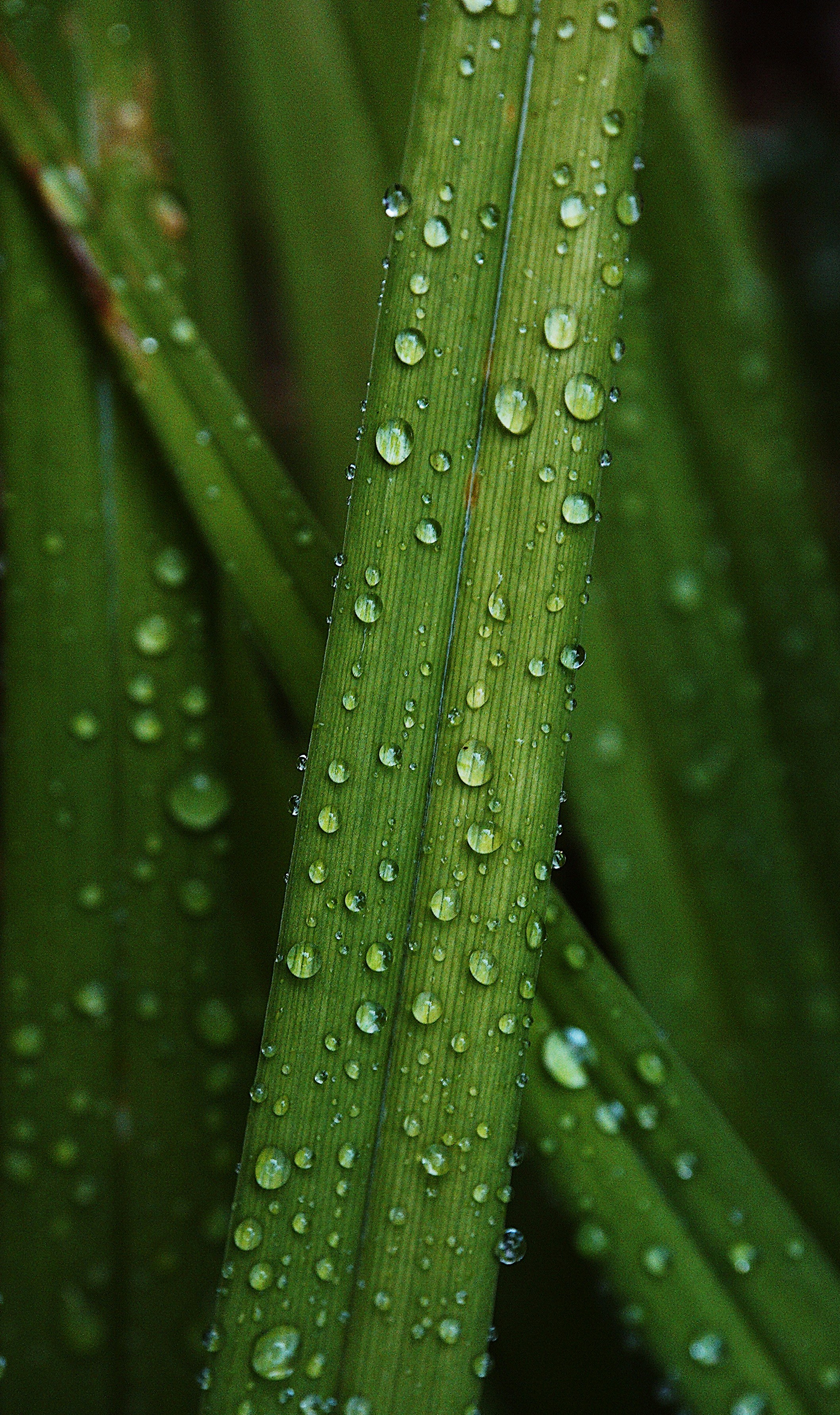 Photo by pete_james_photo