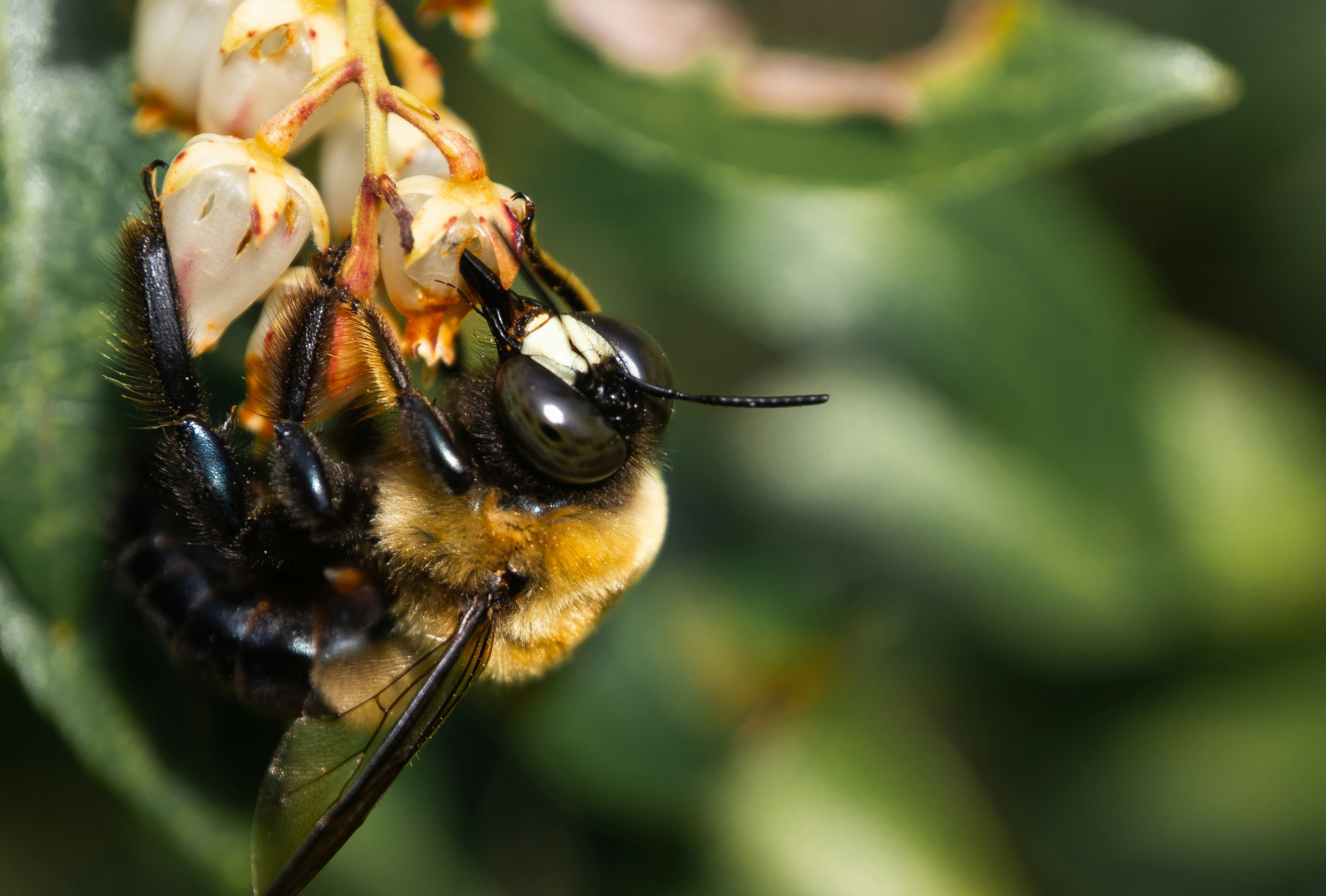 Photo by pete_james_photo