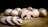 A close-up of various types of fresh mushrooms arranged on a wooden cutting board.