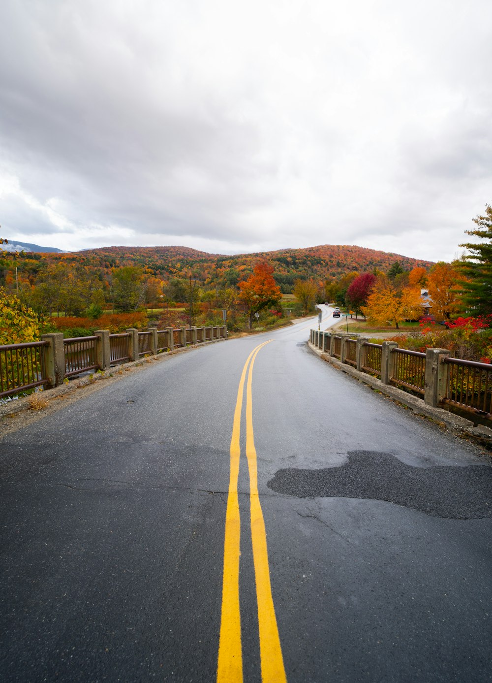 gray concrete road between green and brown trees under white clouds during daytime