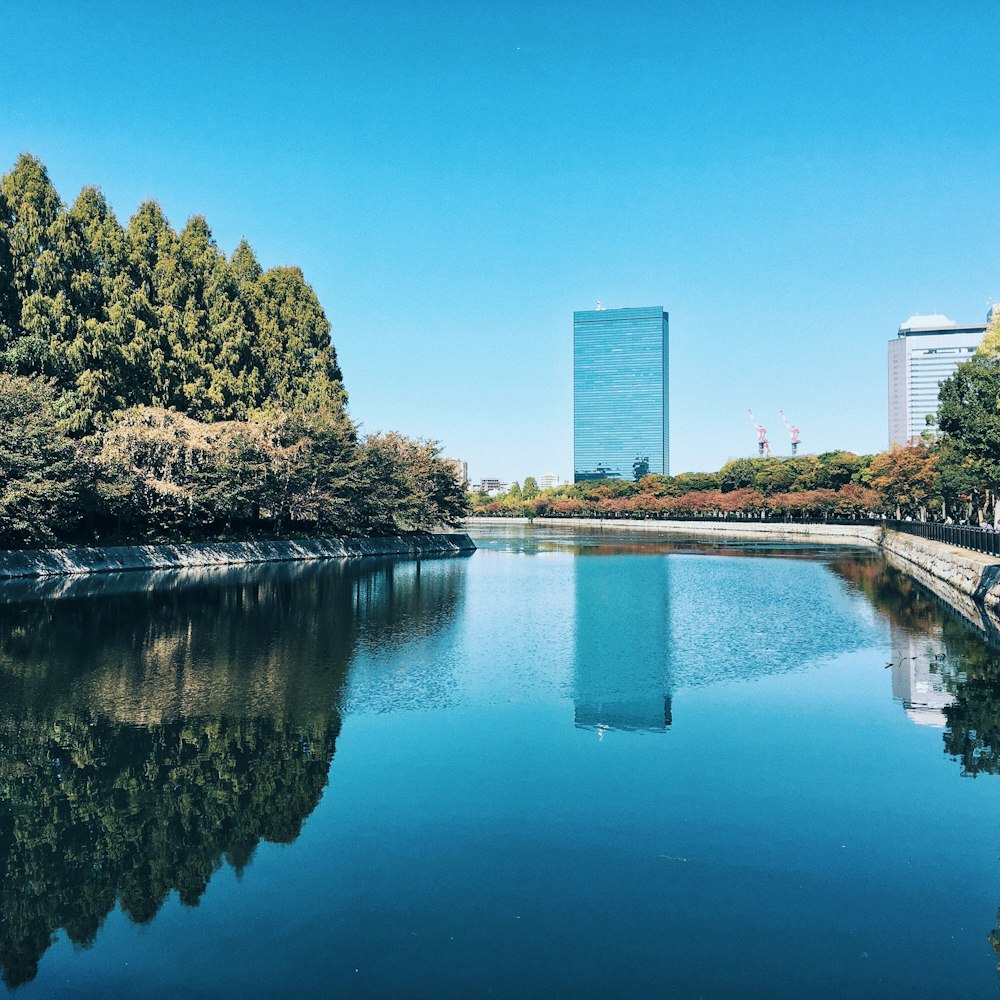 green trees beside river under blue sky during daytime