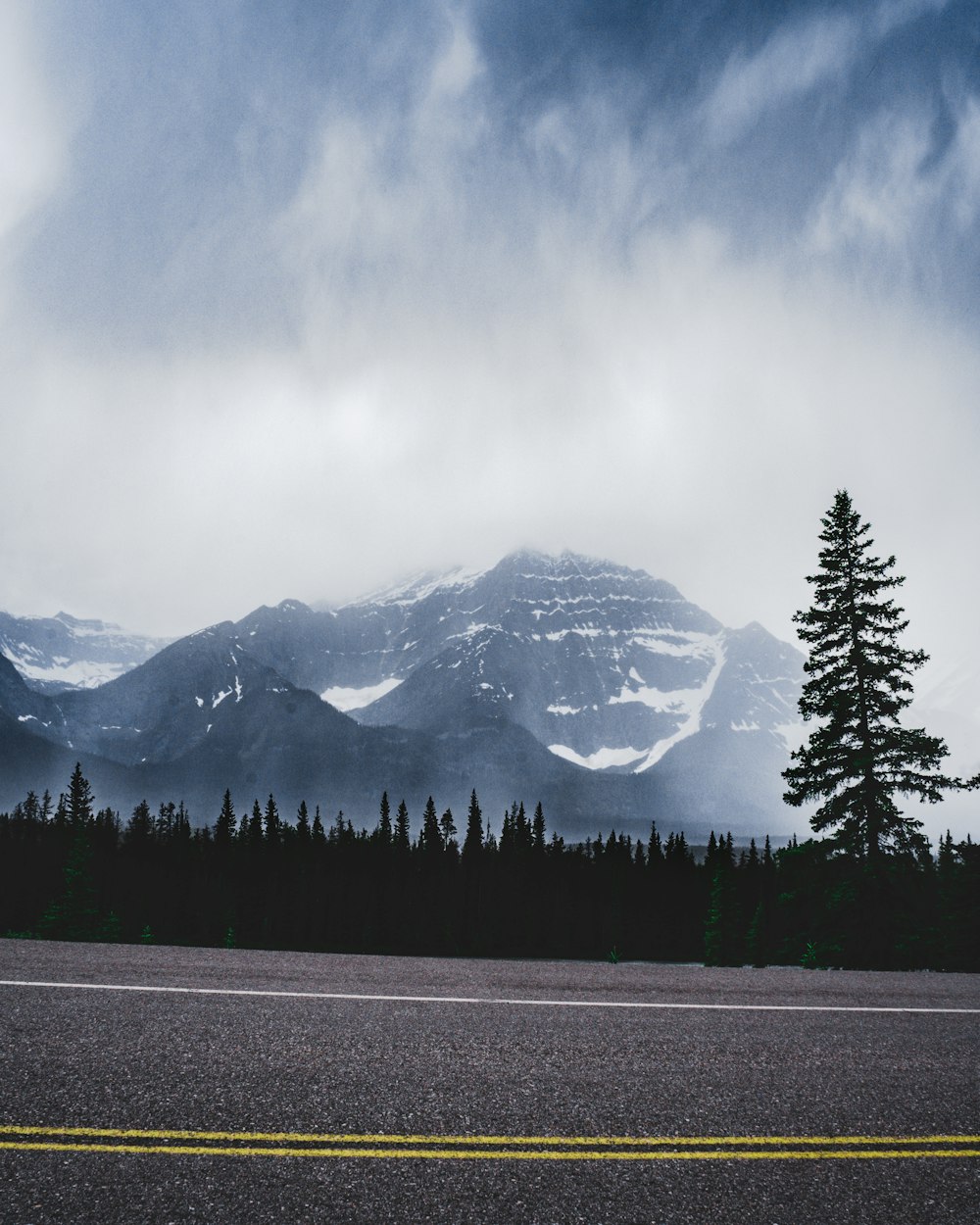 green pine trees near snow covered mountain during daytime