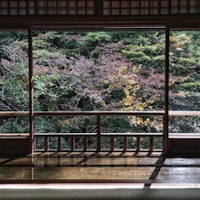 View of foliage out a wood-framed window of a Japanese room