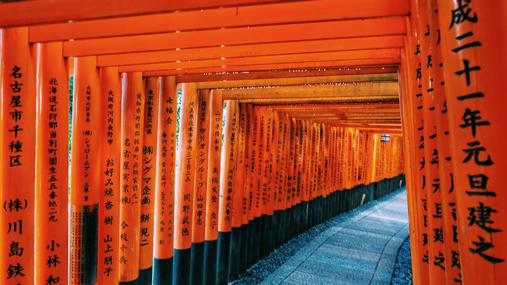 orange and black metal fence