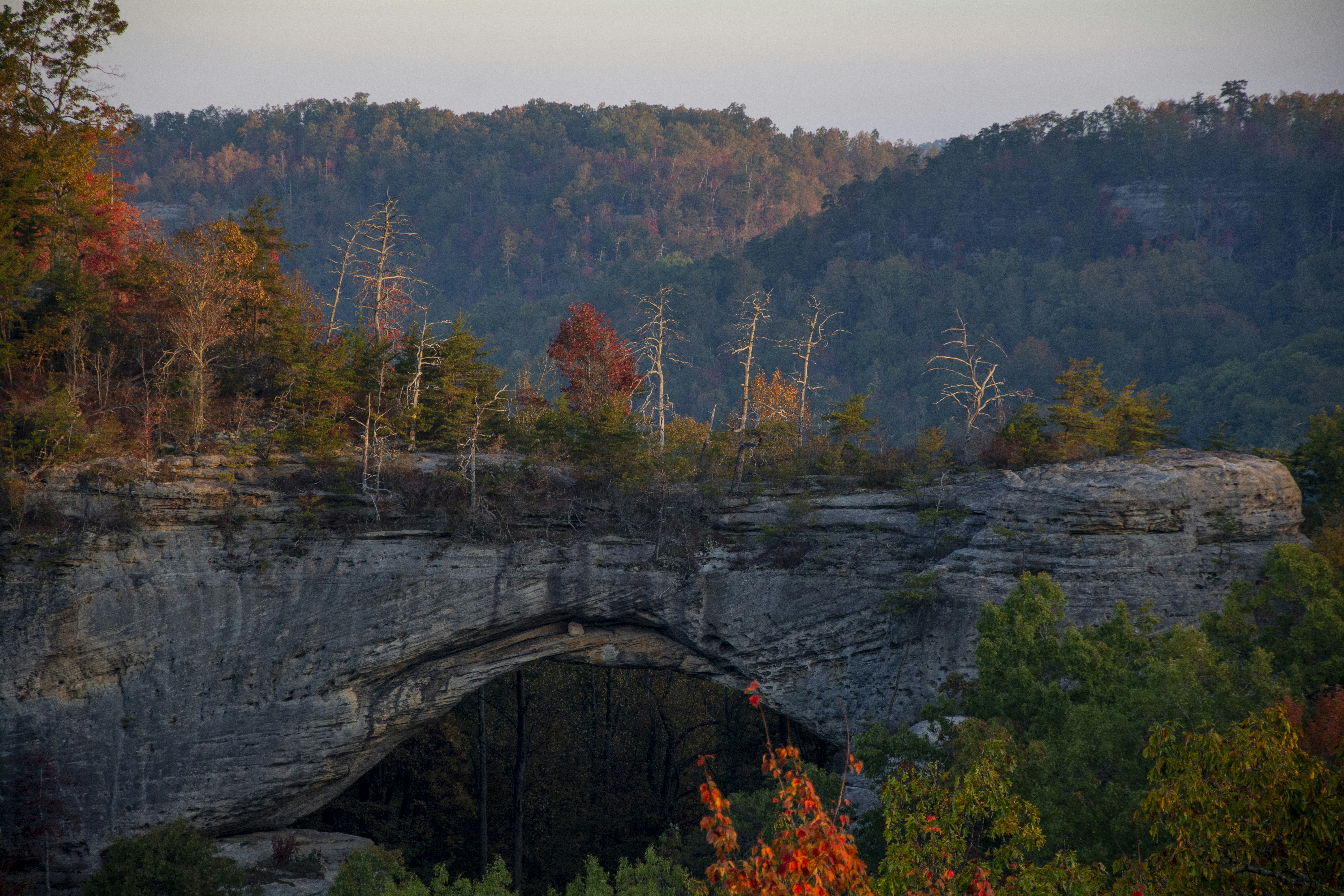 ChatGPT로 자연어 처리하기, 활용법 총정리