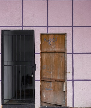 A gated entrance next to a wooden door, both set against a light-colored wall with a grid pattern. The gate is painted black with a padlock securing it, while the wooden door has some graffiti in blue. The wall features a pink hue with purple lines dividing it into squares.