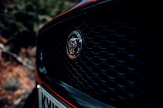 A close-up shot of a car grille featuring an emblem with a cat-like figure in the center. The grille has a honeycomb pattern, and parts of the car's body can be seen along with a portion of the license plate at the bottom.