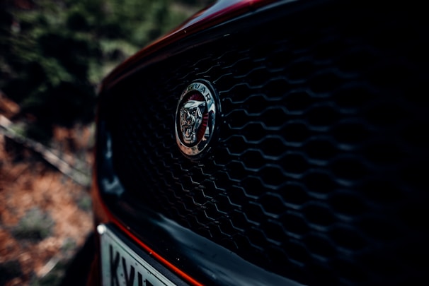 A close-up shot of a car grille featuring an emblem with a cat-like figure in the center. The grille has a honeycomb pattern, and parts of the car's body can be seen along with a portion of the license plate at the bottom.