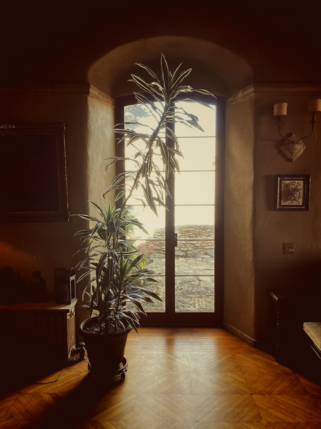 green palm plant on brown wooden table