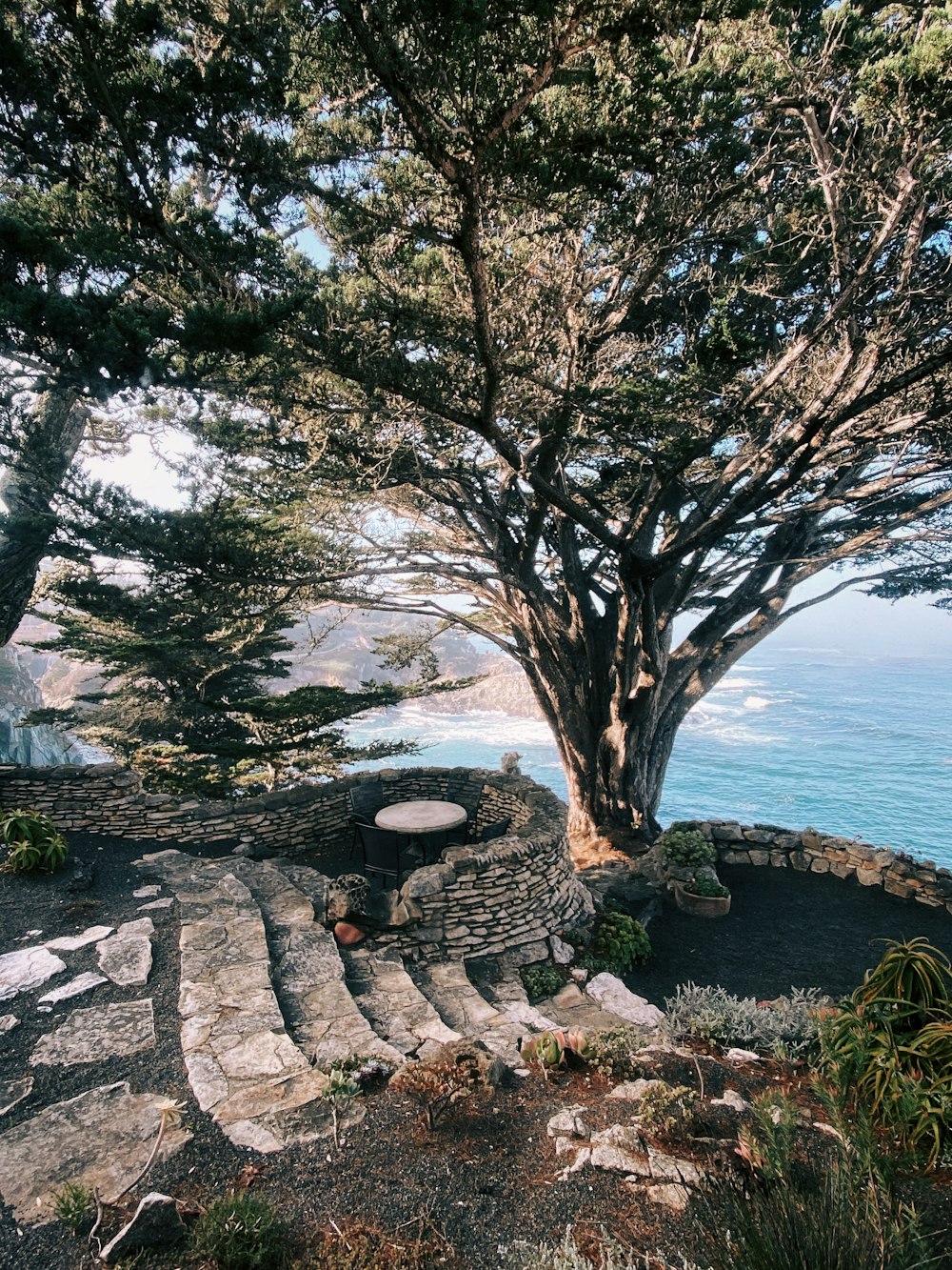 green trees near body of water during daytime