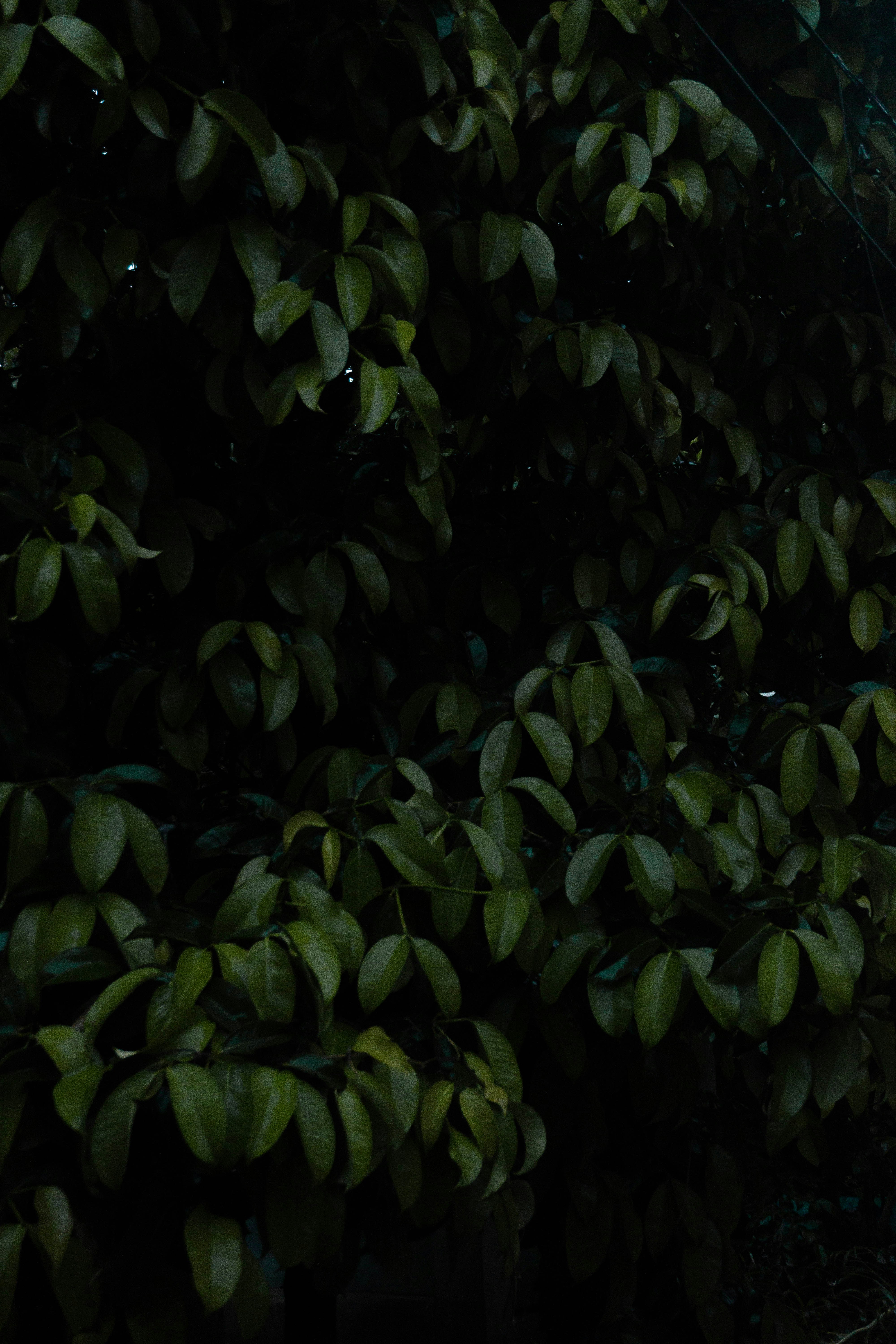 Photo by aaron_the13th