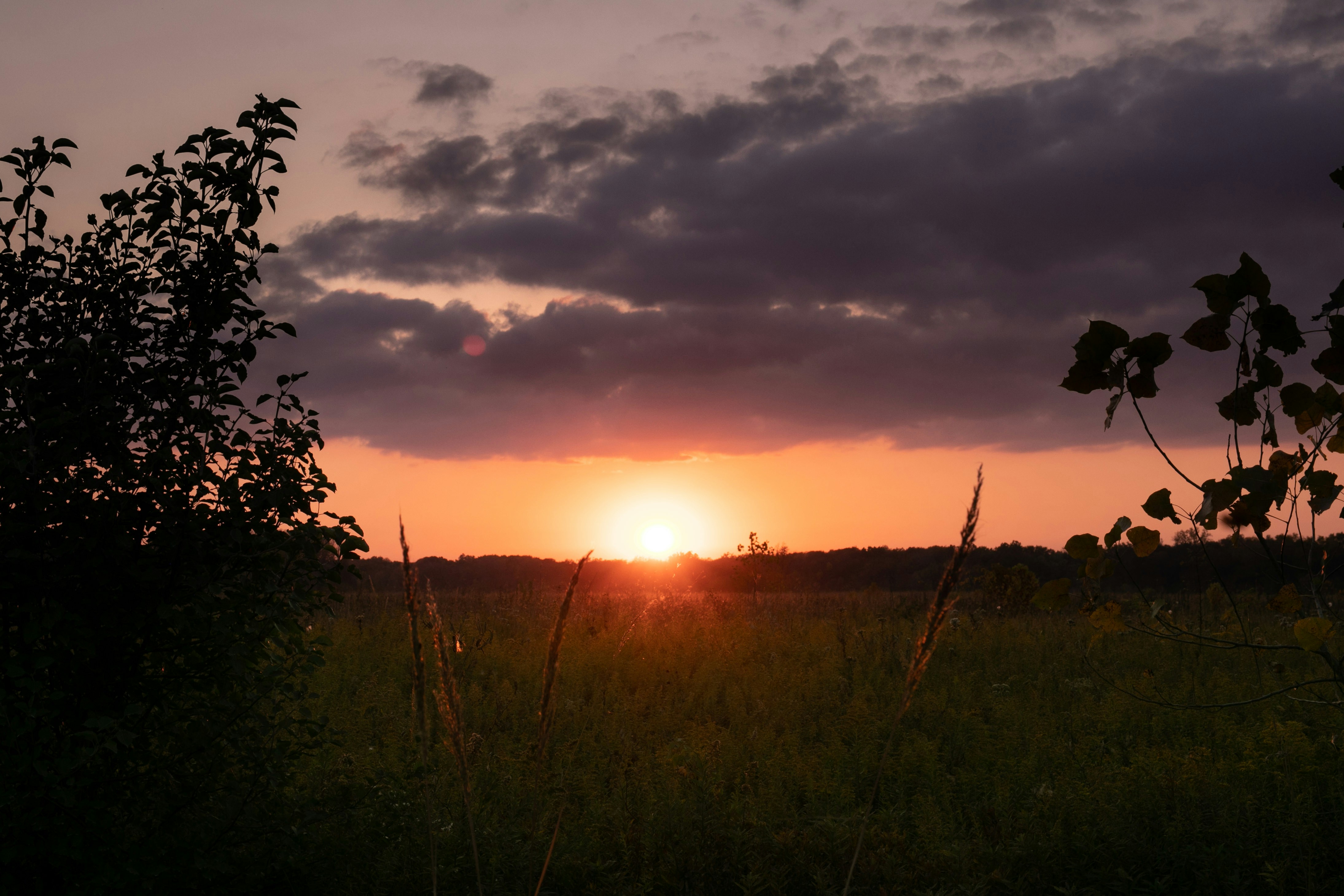 Photo by stevenvanelk