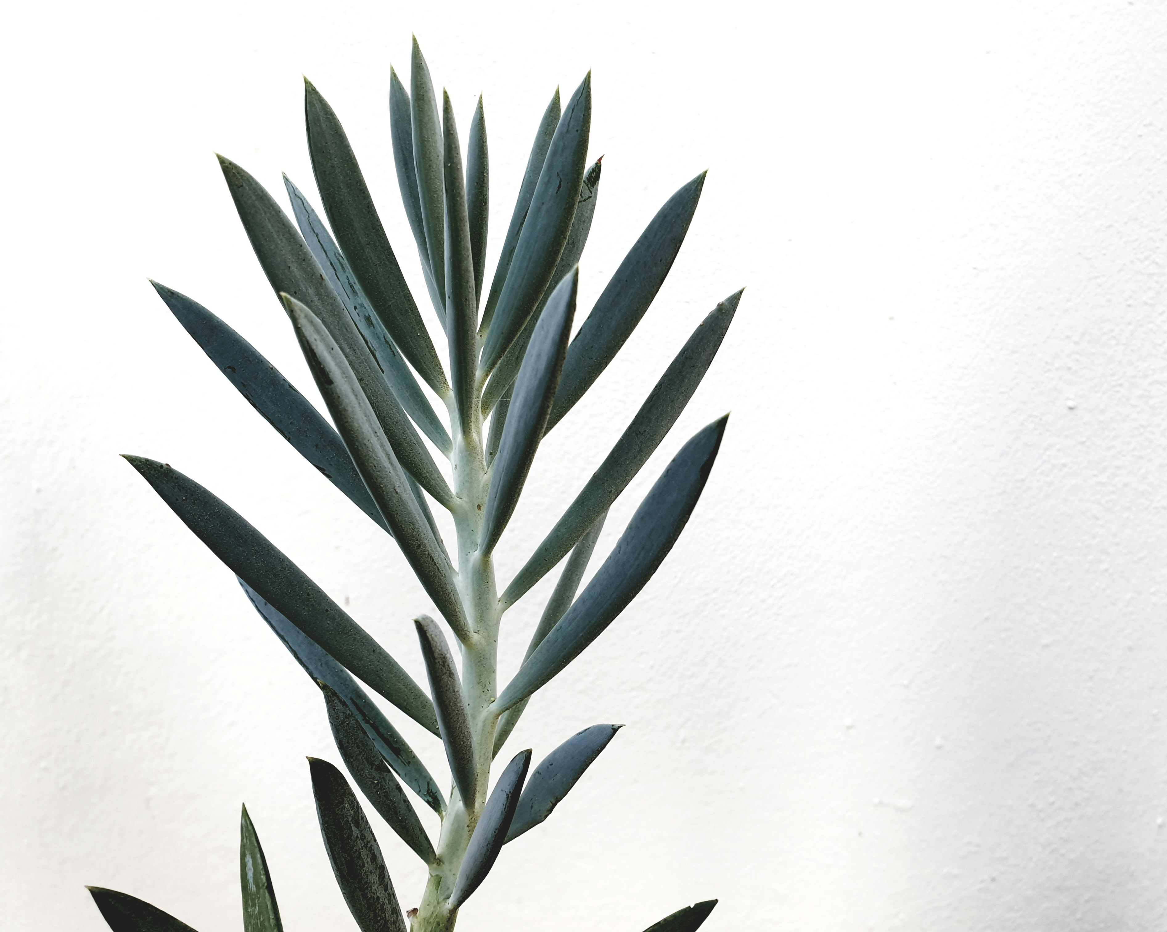 Photo by alphabetania