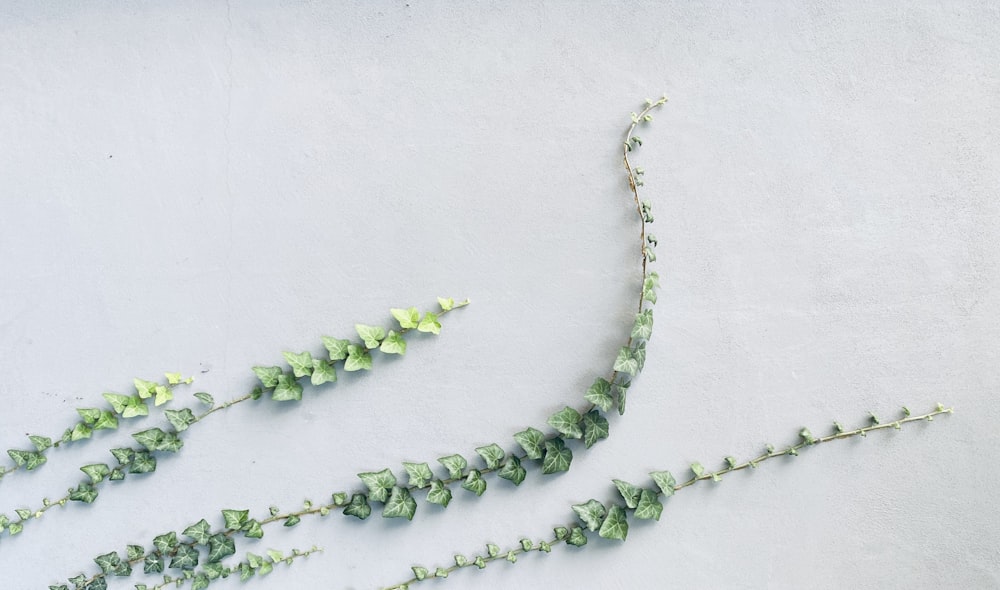 green and white beaded necklace