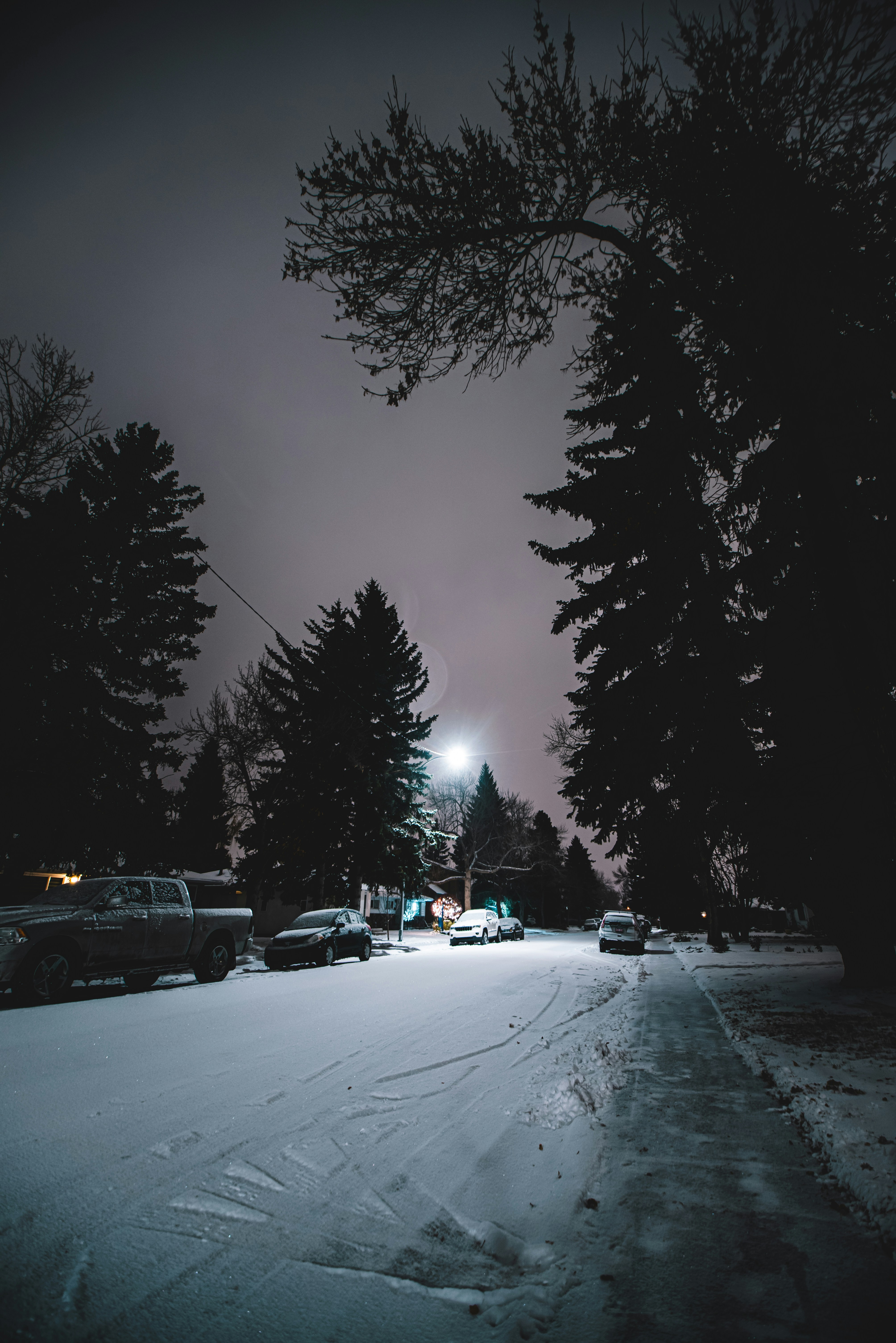 Photo by ryunosuke_kikuno