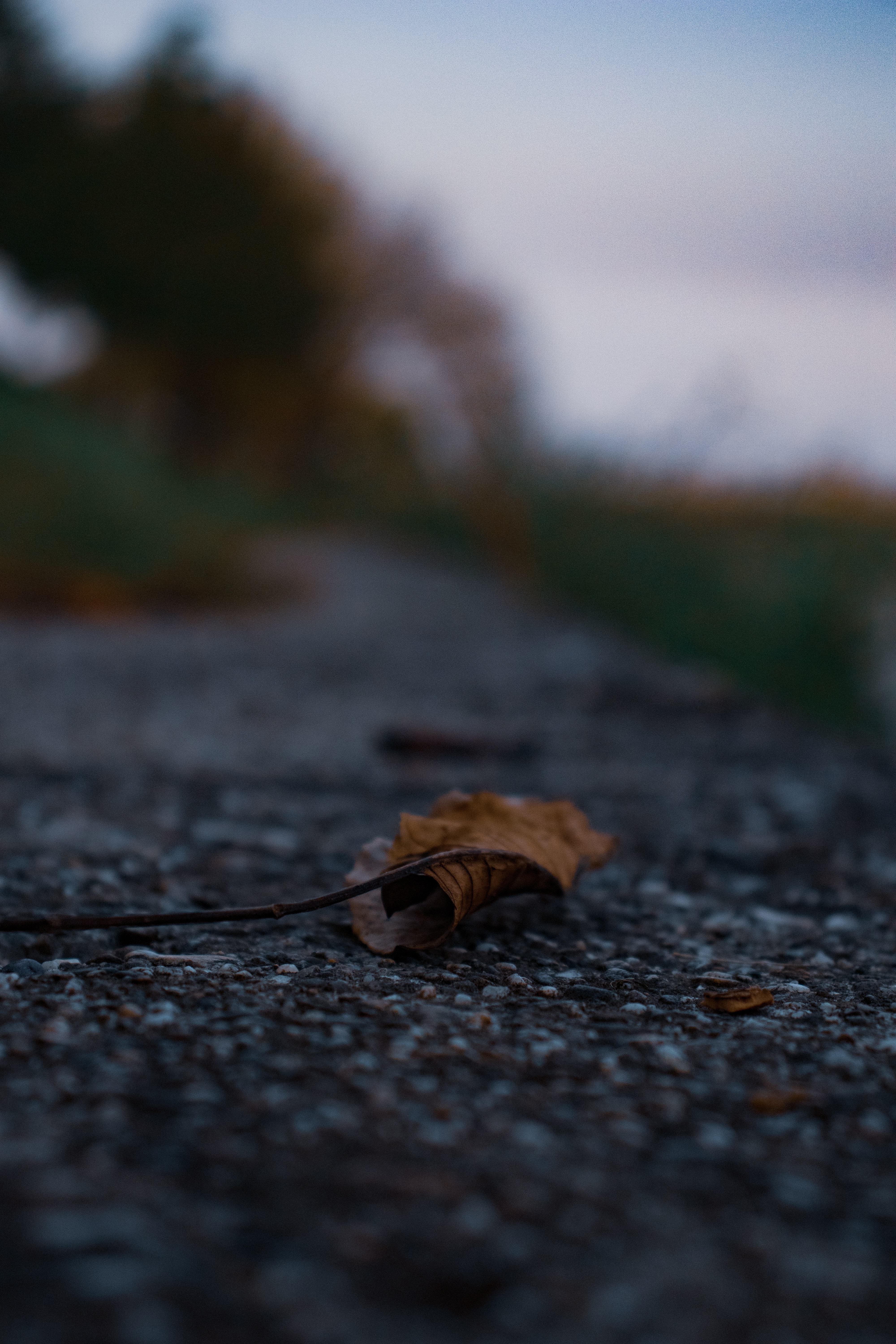 Photo by stefan_nutu