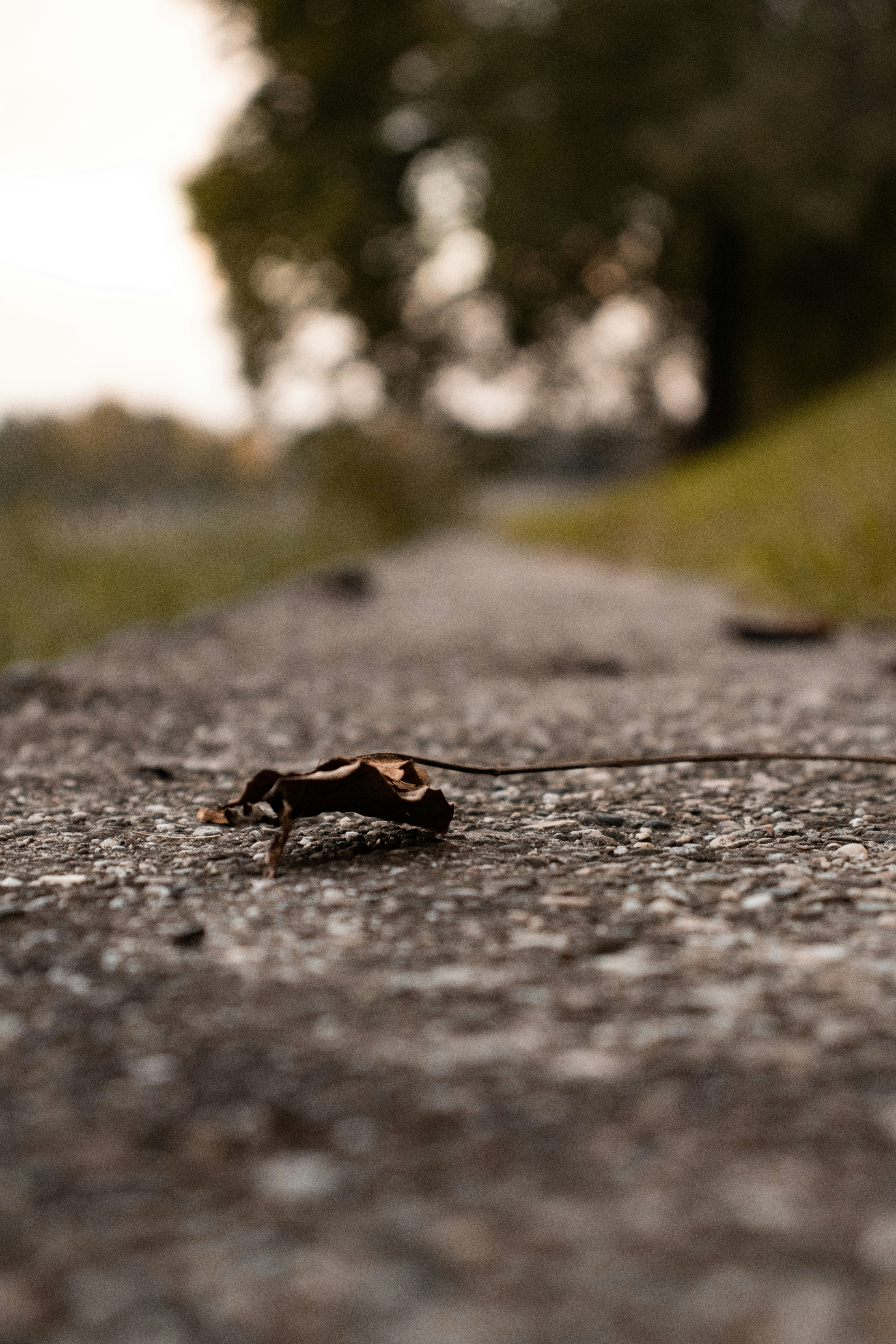 Photo by stefan_nutu