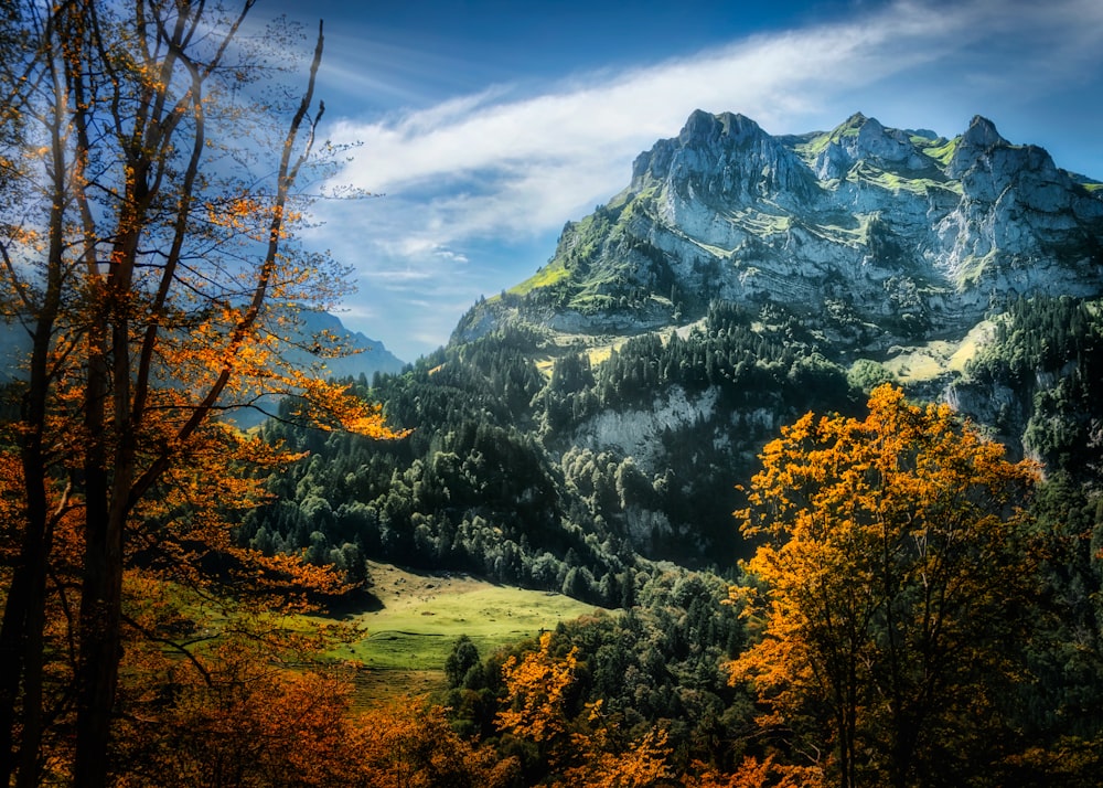 green and yellow trees near mountain under white clouds and blue sky during daytime