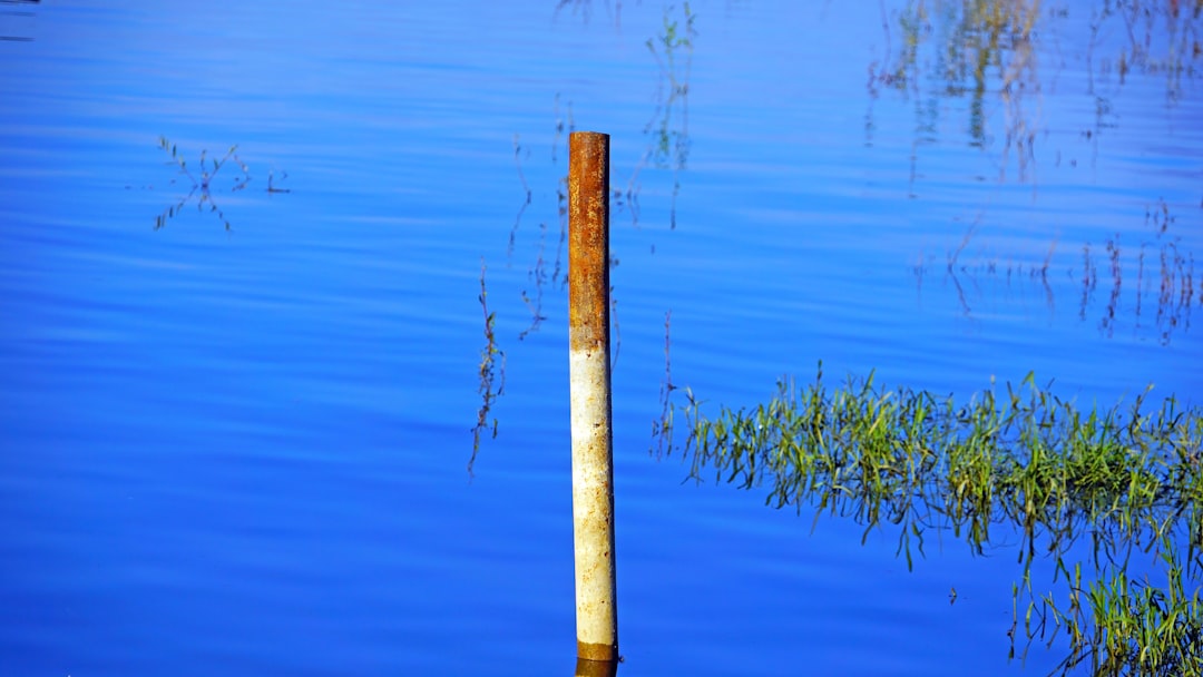 brown wooden stick on body of water
