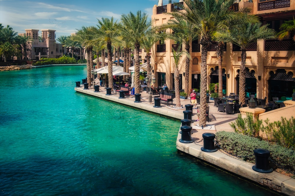 green palm trees near swimming pool during daytime