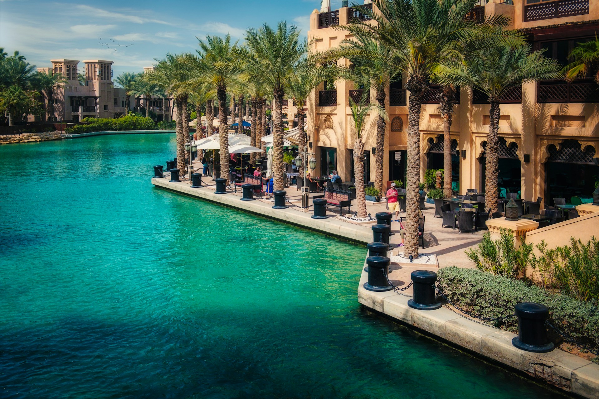 green palm trees near swimming pool during daytime