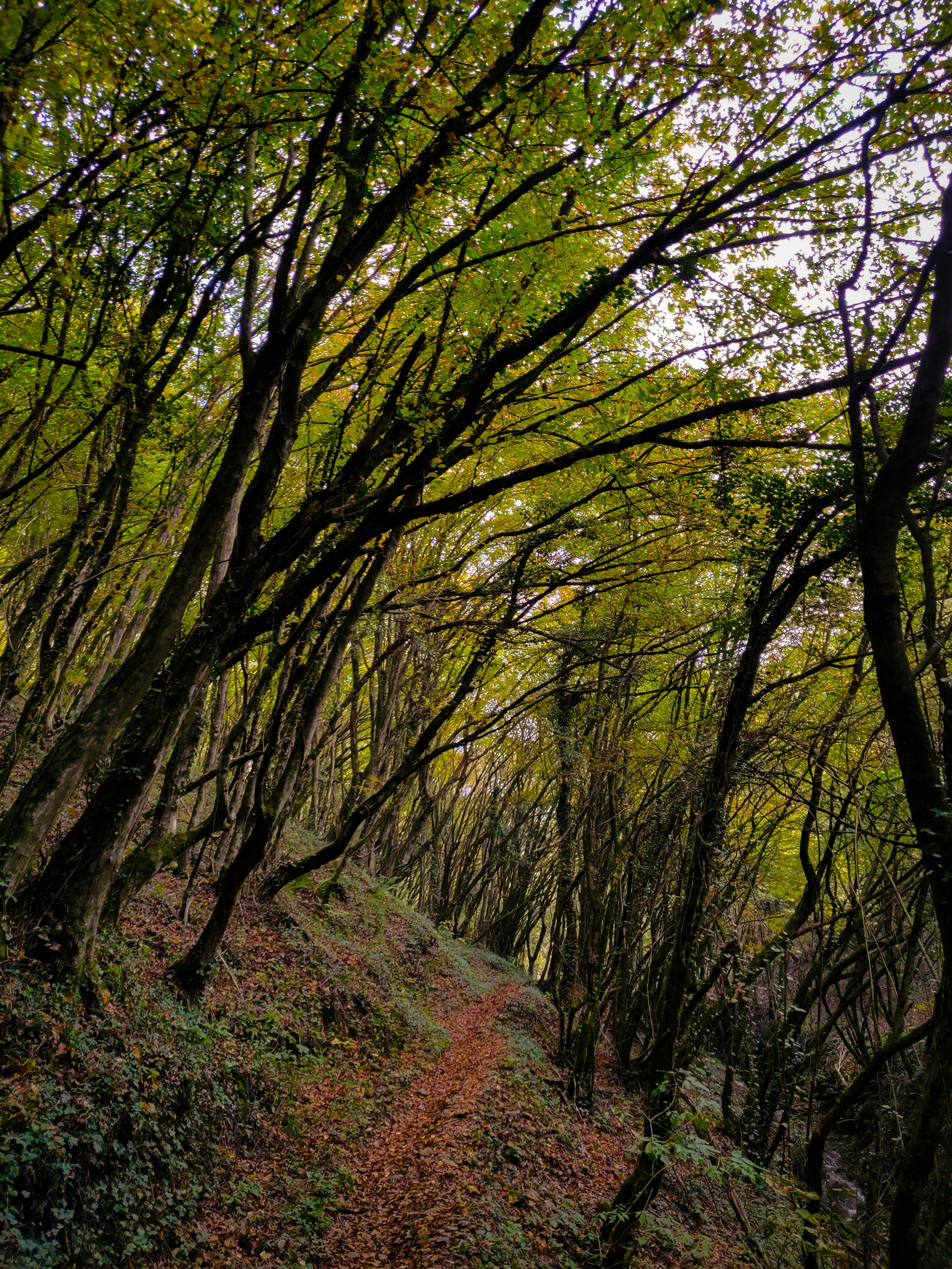 Photo by albertobigoni