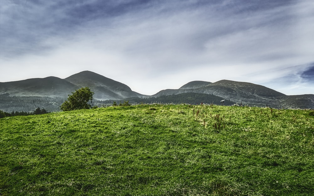 campo de hierba verde cerca de la montaña bajo el cielo azul durante el día