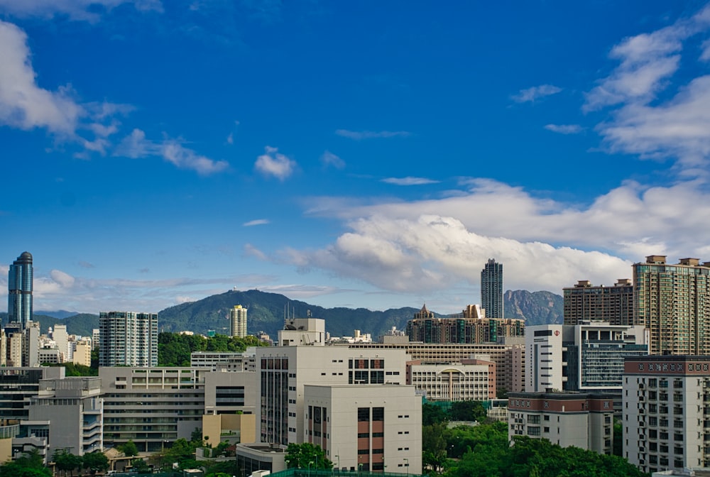 white concrete building under blue sky during daytime