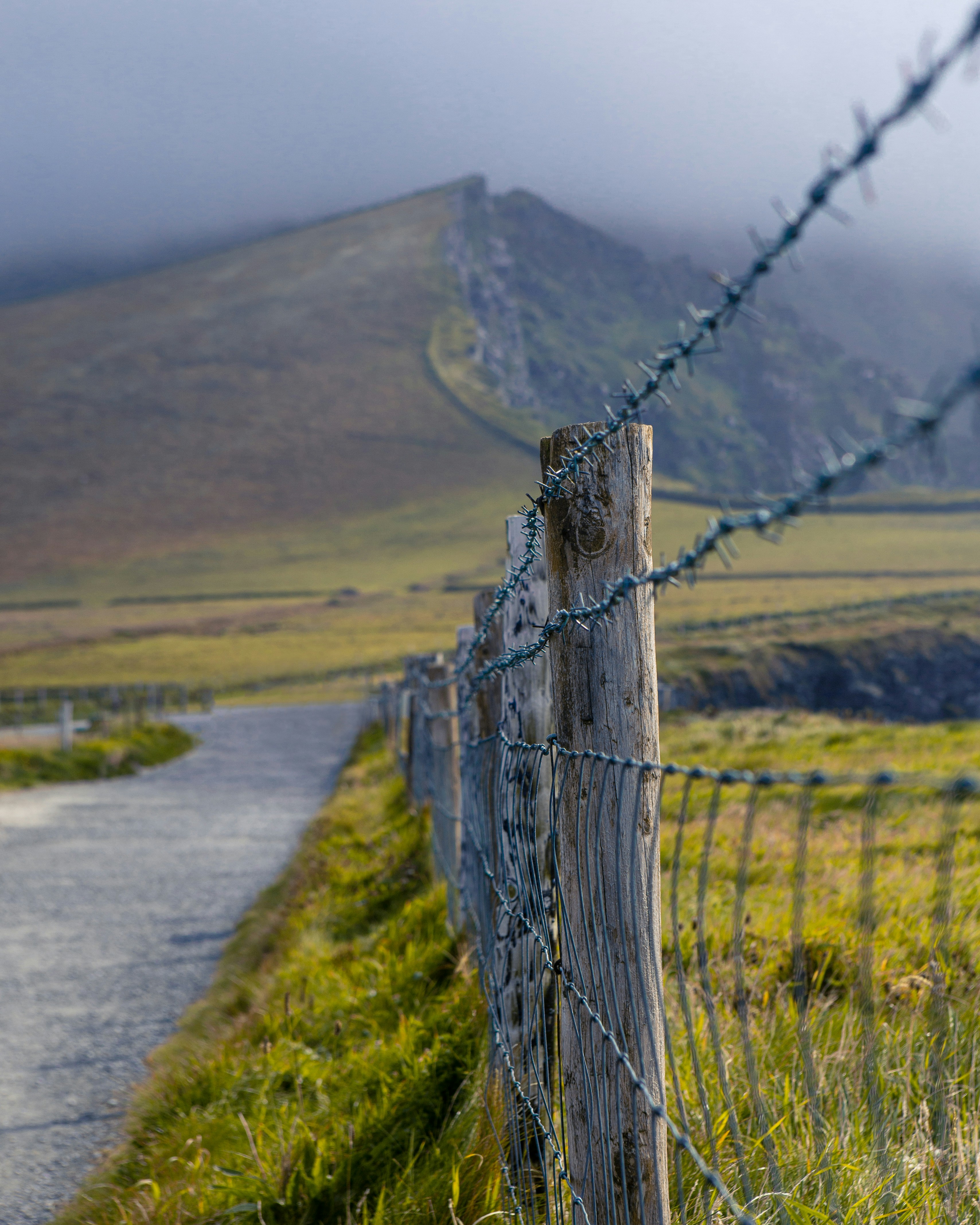 gray metal fence on green grass field during daytime